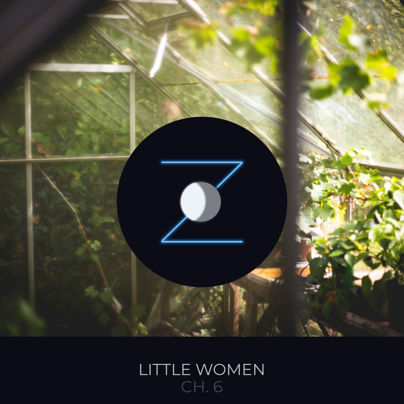 Little Women ch. 6 "Beth Finds the Palace Beautiful"