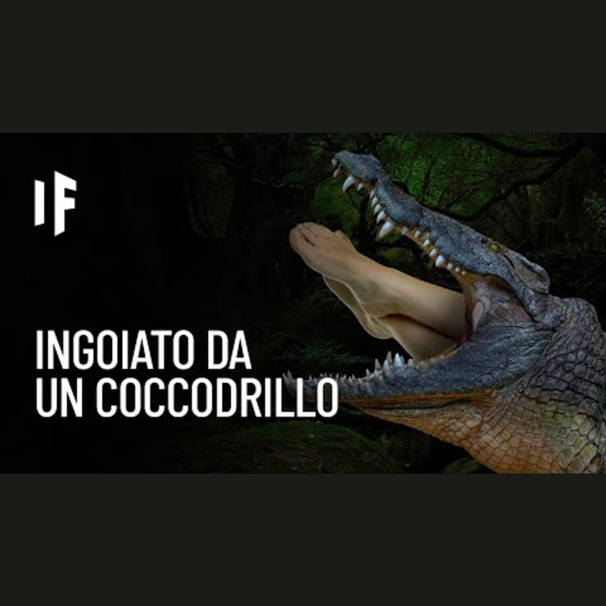 E se venissi inghiottito da un coccodrillo? episode artwork