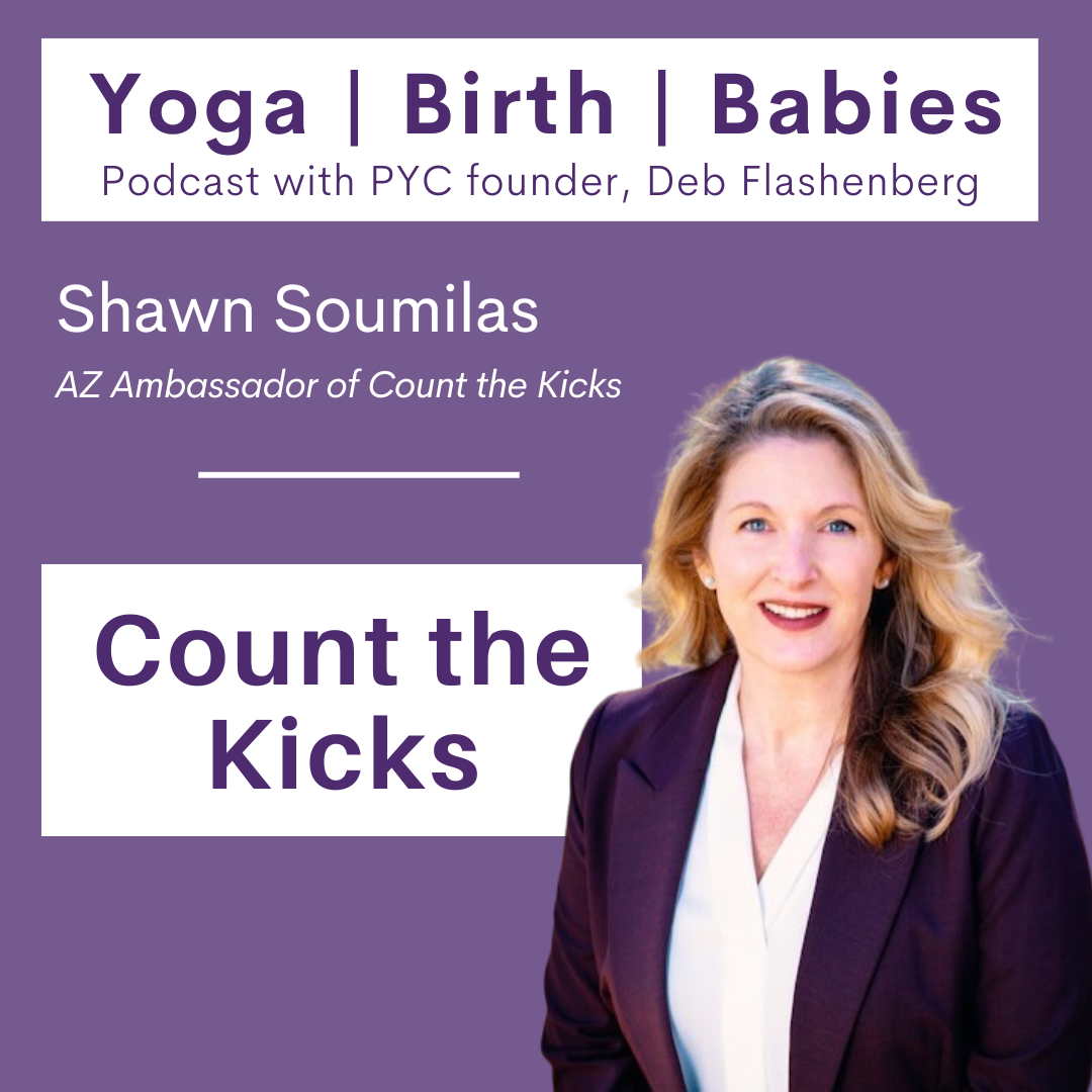 Count the Kicks with Shawn Soumilas episode artwork