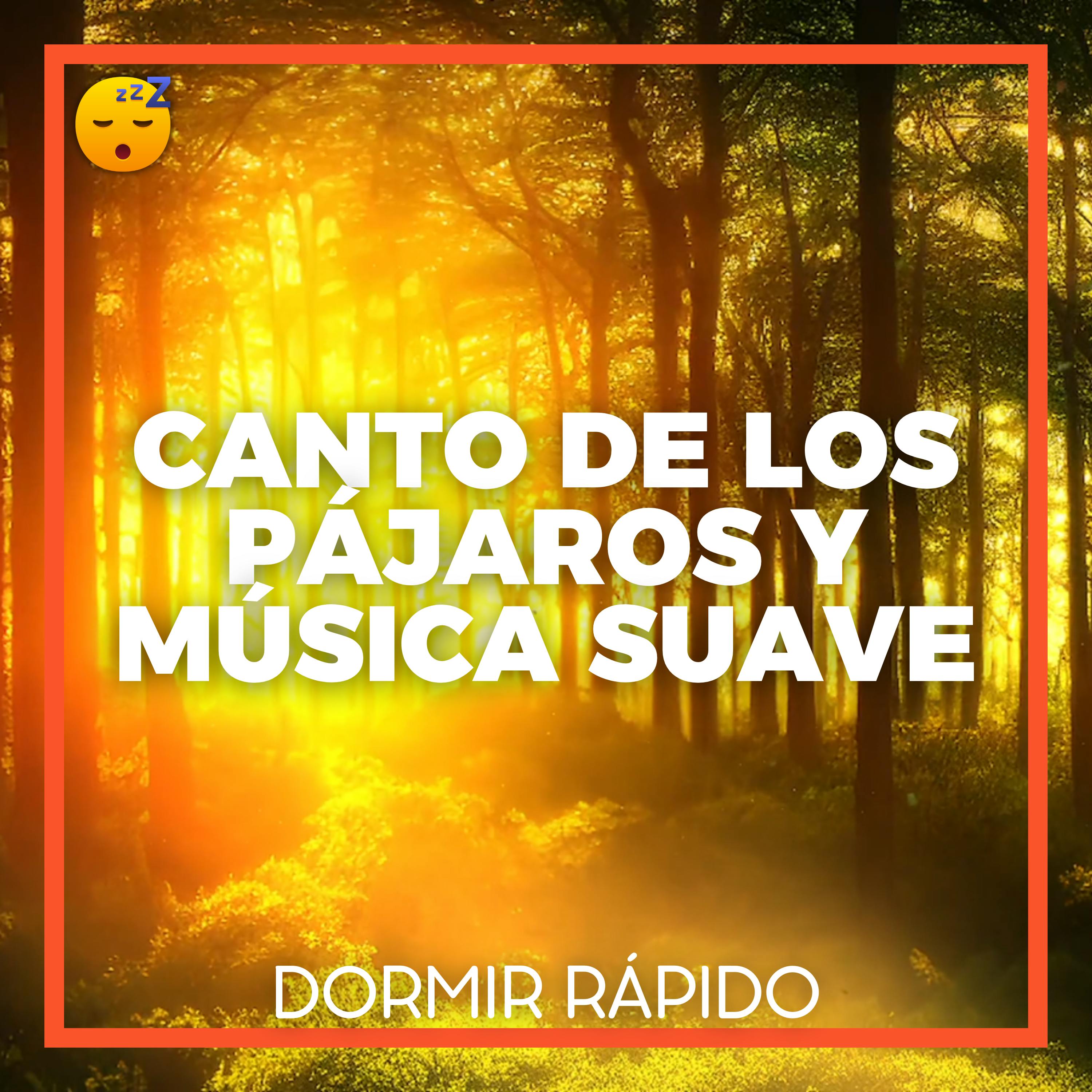 CANTO de los PÁJAROS y MÚSICA Suave para una NOCHE Sin ESTRÉS episode artwork
