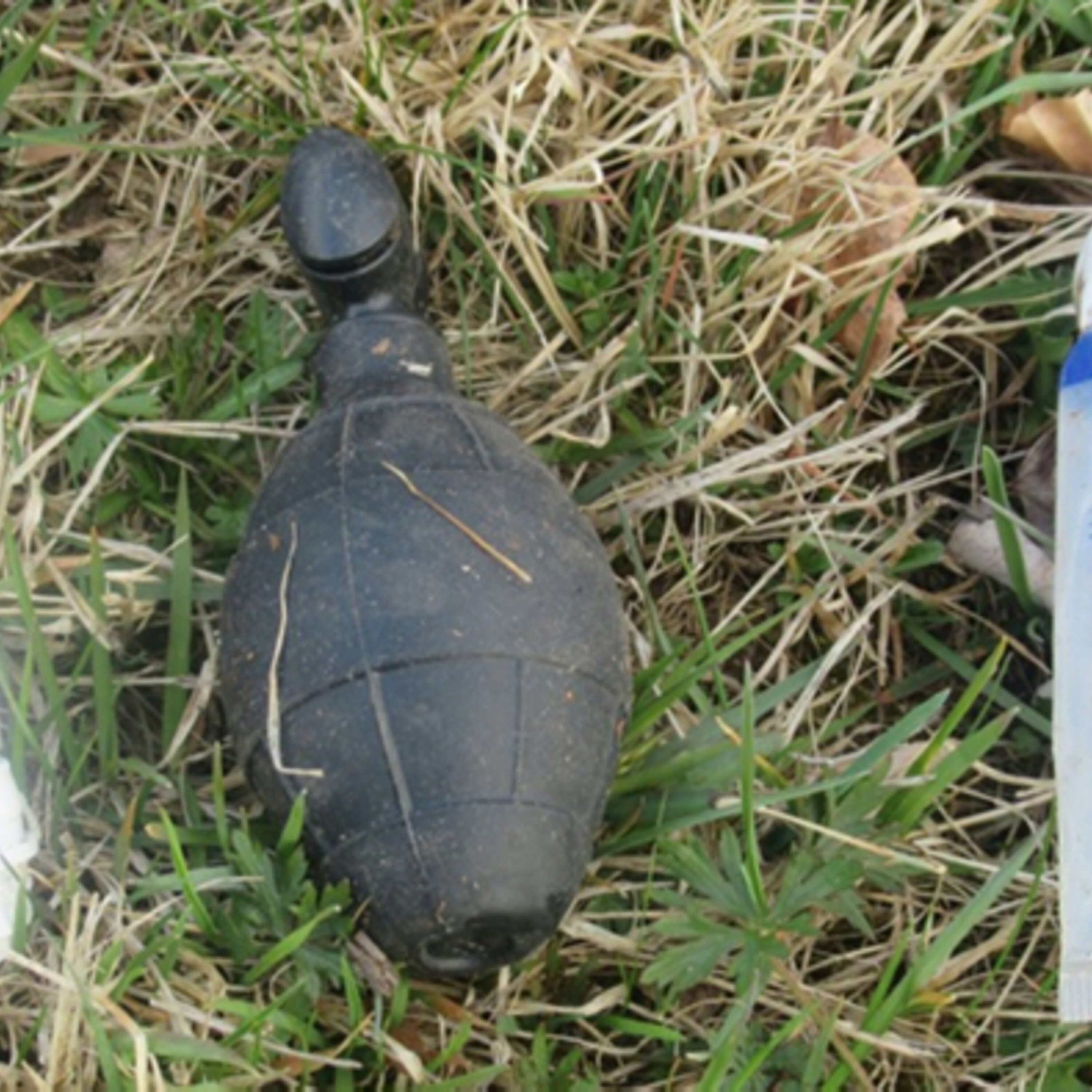 Somebody Lost Their Grenade Sex Toy And The Bomb Squad Was Not Happy episode artwork