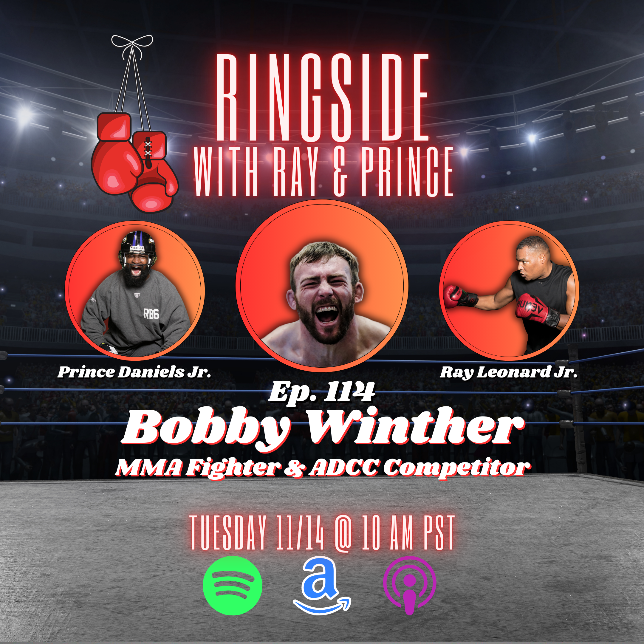 Ringside with Ray & Prince