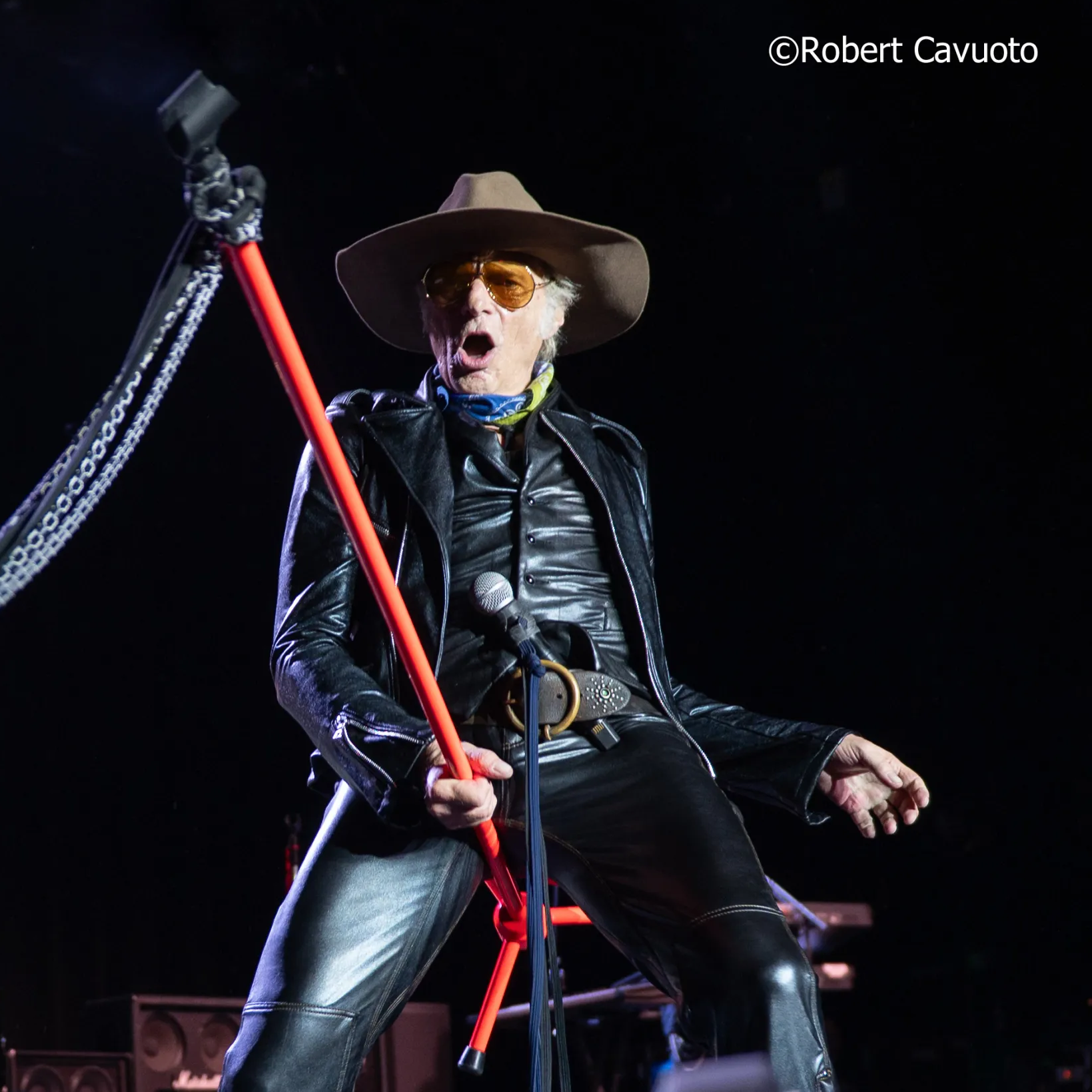 LC Picks 3: David Lee Roth