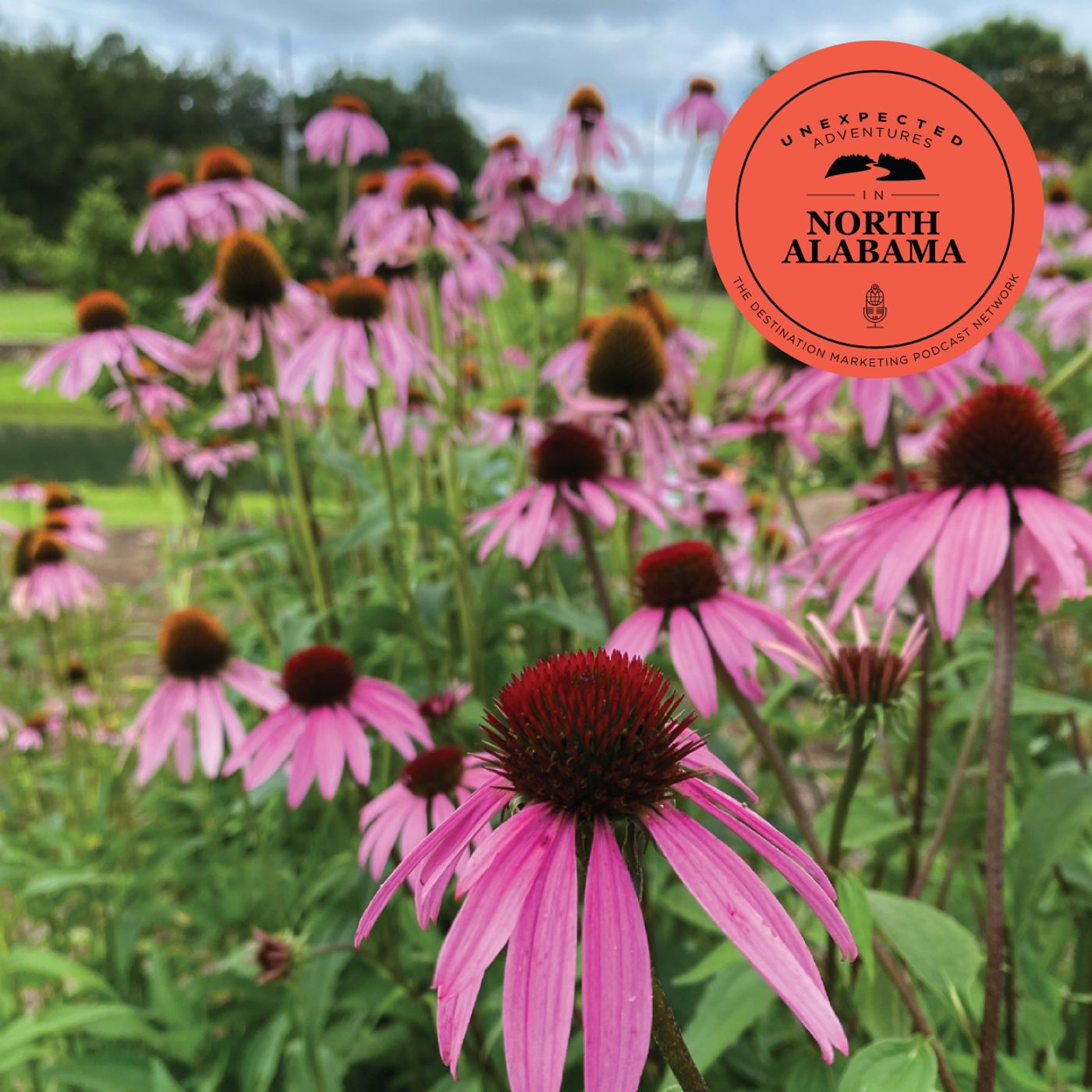 13: Wildlife and Wildflowers in North Alabama