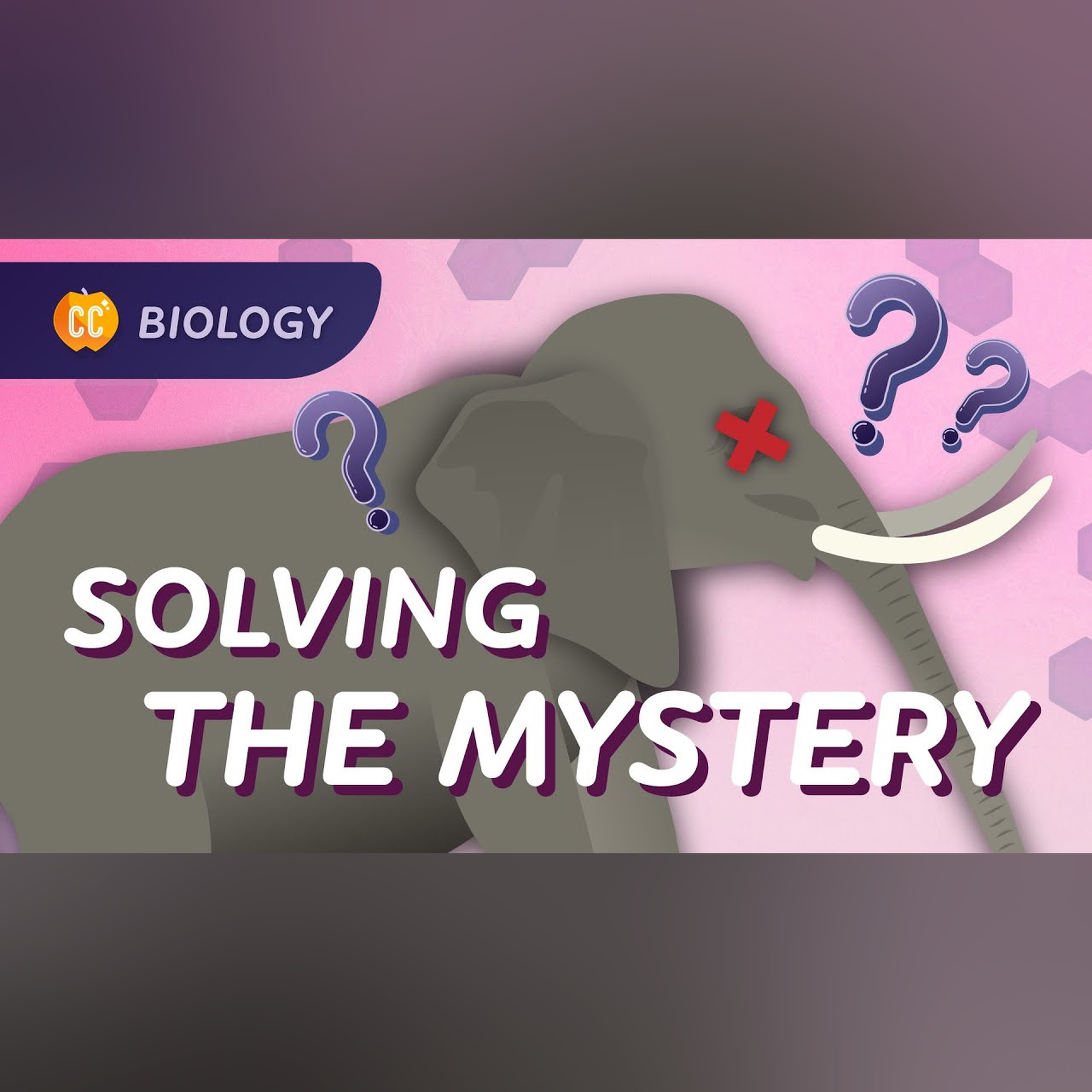 Intro to Ecology: Why Did All These Elephants Die?: Crash Course Biology #5