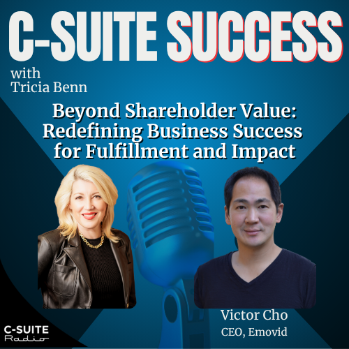 CSS 068 -- Beyond Shareholder Value: Redefining Business Success for Fulfillment and Impact