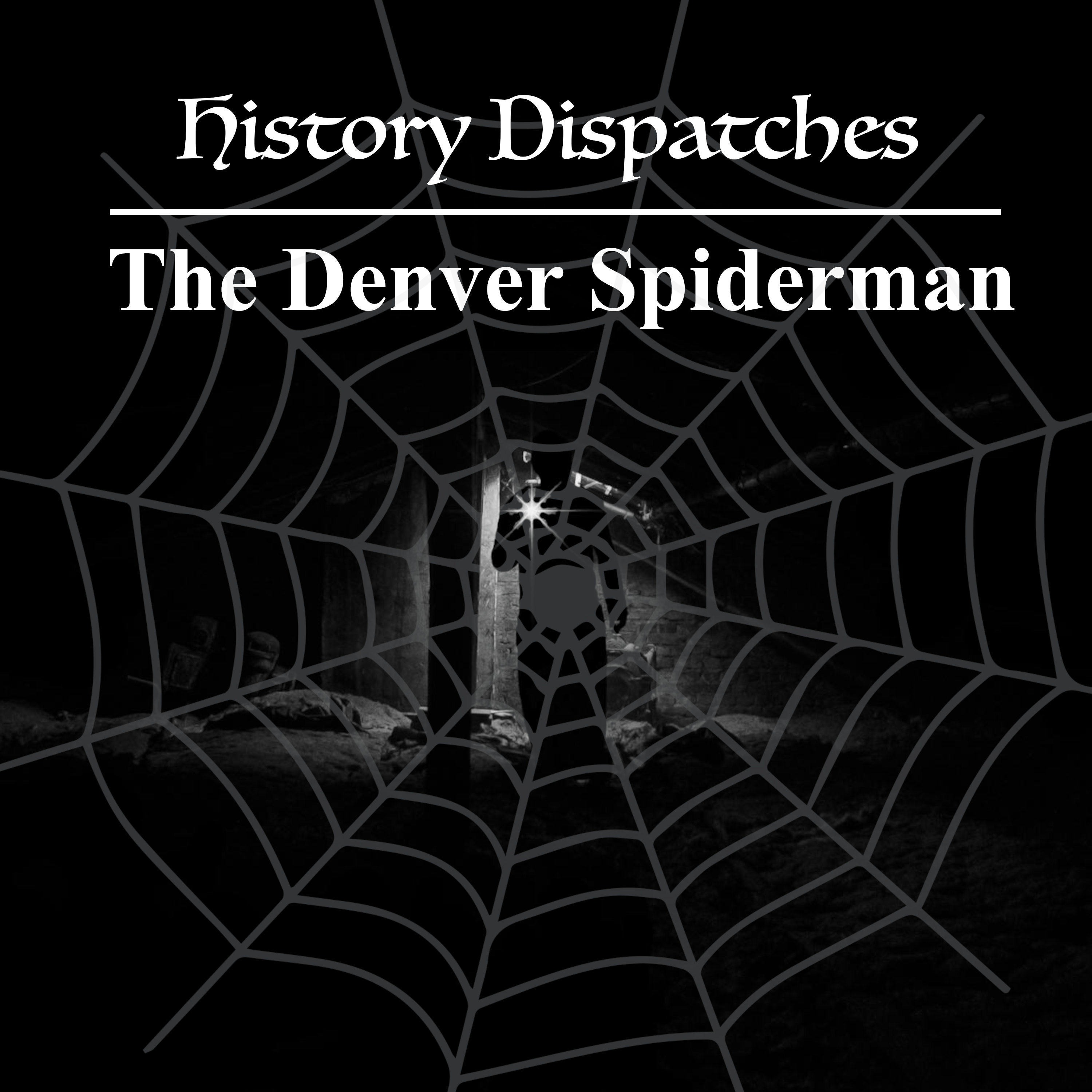 The Denver Spiderman