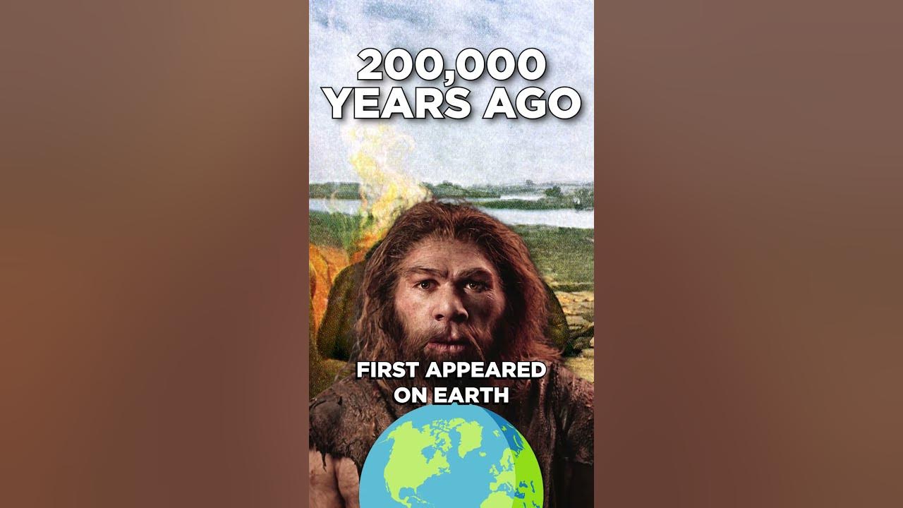 We Don't Know 97% Of Human History - How History Works #shorts - How History Works episode artwork