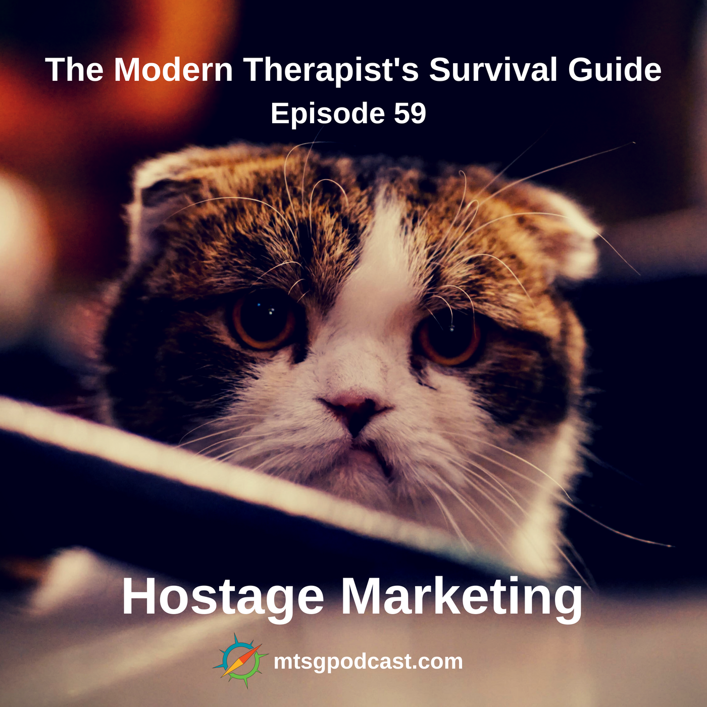 The Modern Therapist\'s Survival Guide with Curt Widhalm and Katie Vernoy