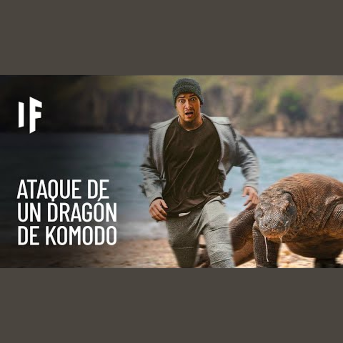 ¿Qué pasaría si te atacara un dragón de Komodo? episode artwork