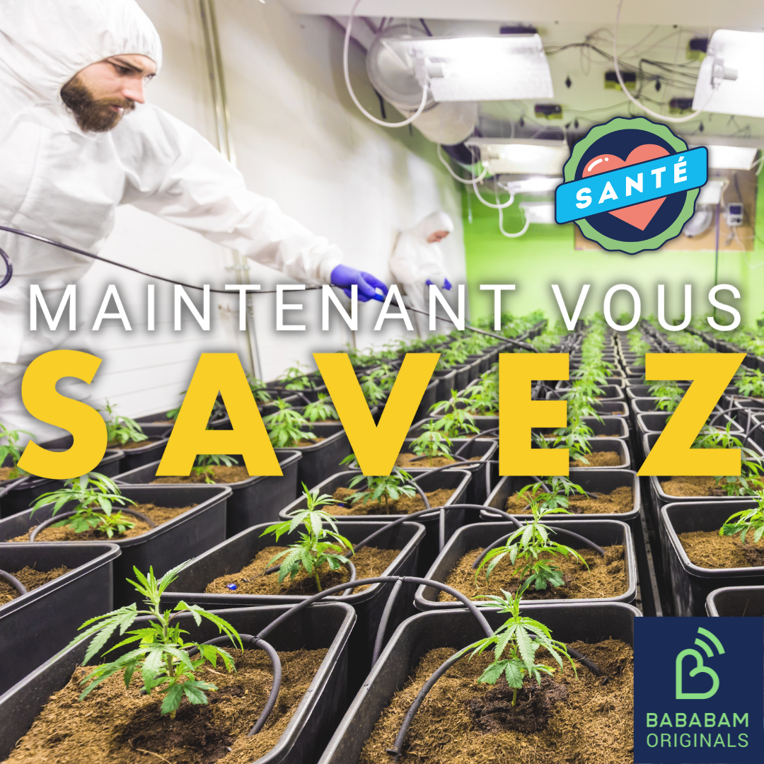 Pourquoi le cannabis peut-il être considéré comme thérapeutique ?