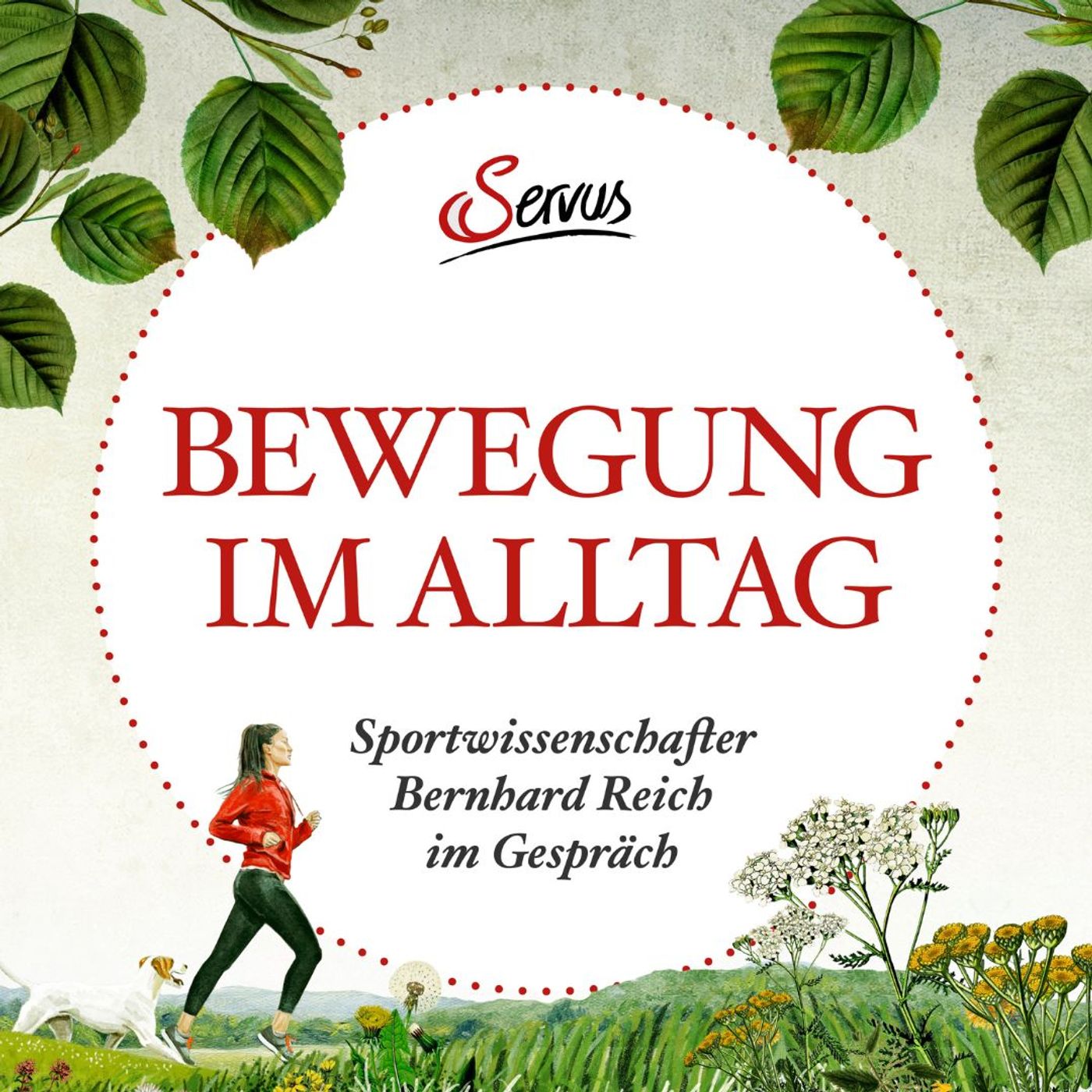 Bewegung im Alltag: Wie man sie einfach integrieren kann und was sie bewirkt – #13
