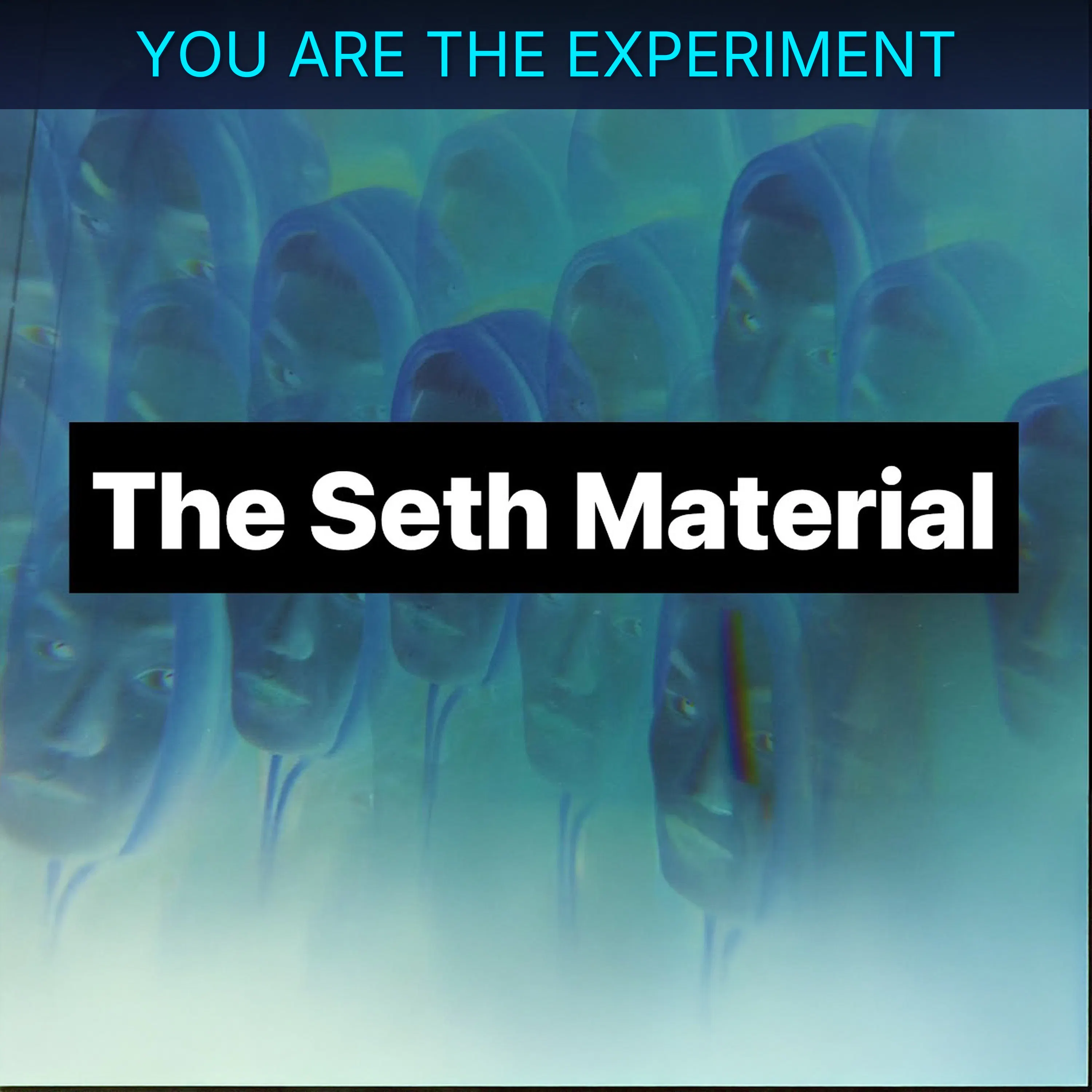 YOU ARE THE EXPERIMENT