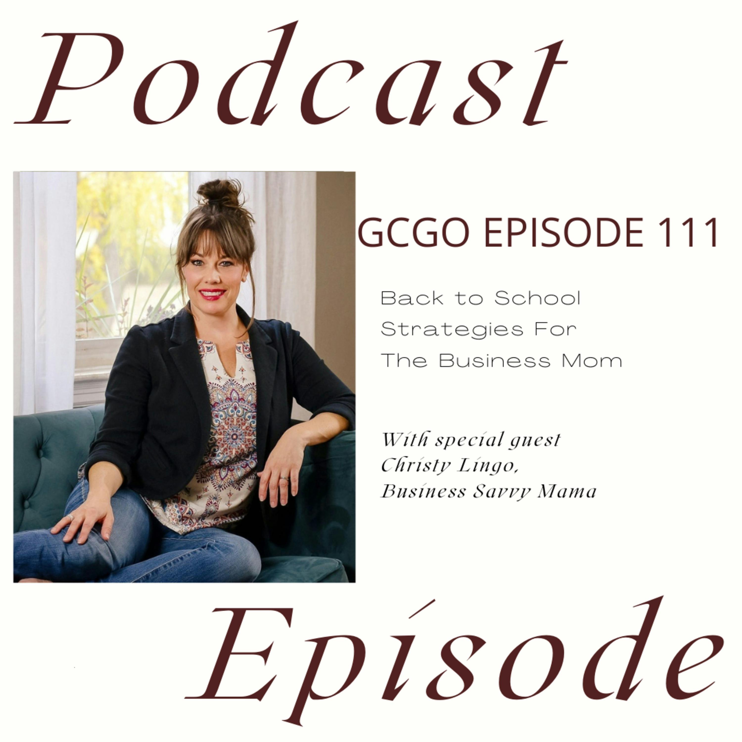 Back To School Strategies For The Business Mom with Christy Lingo