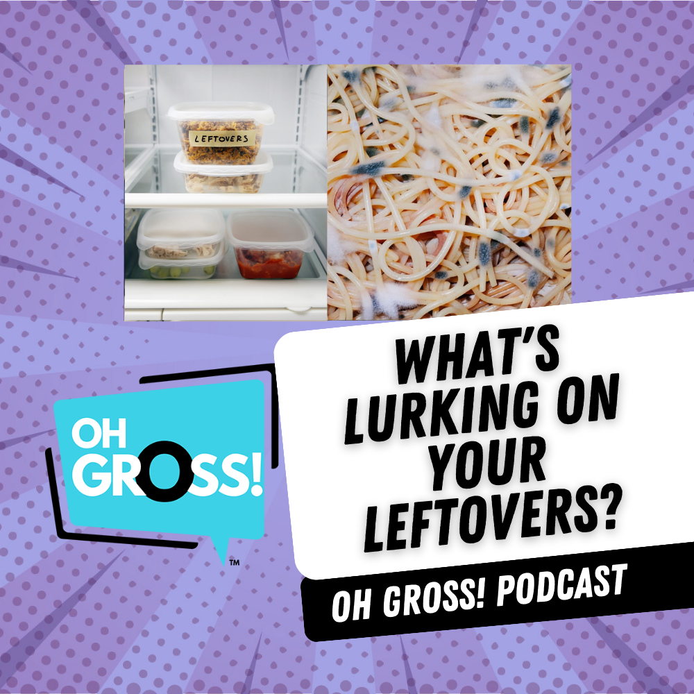 What's Lurking On Your Leftovers? episode artwork