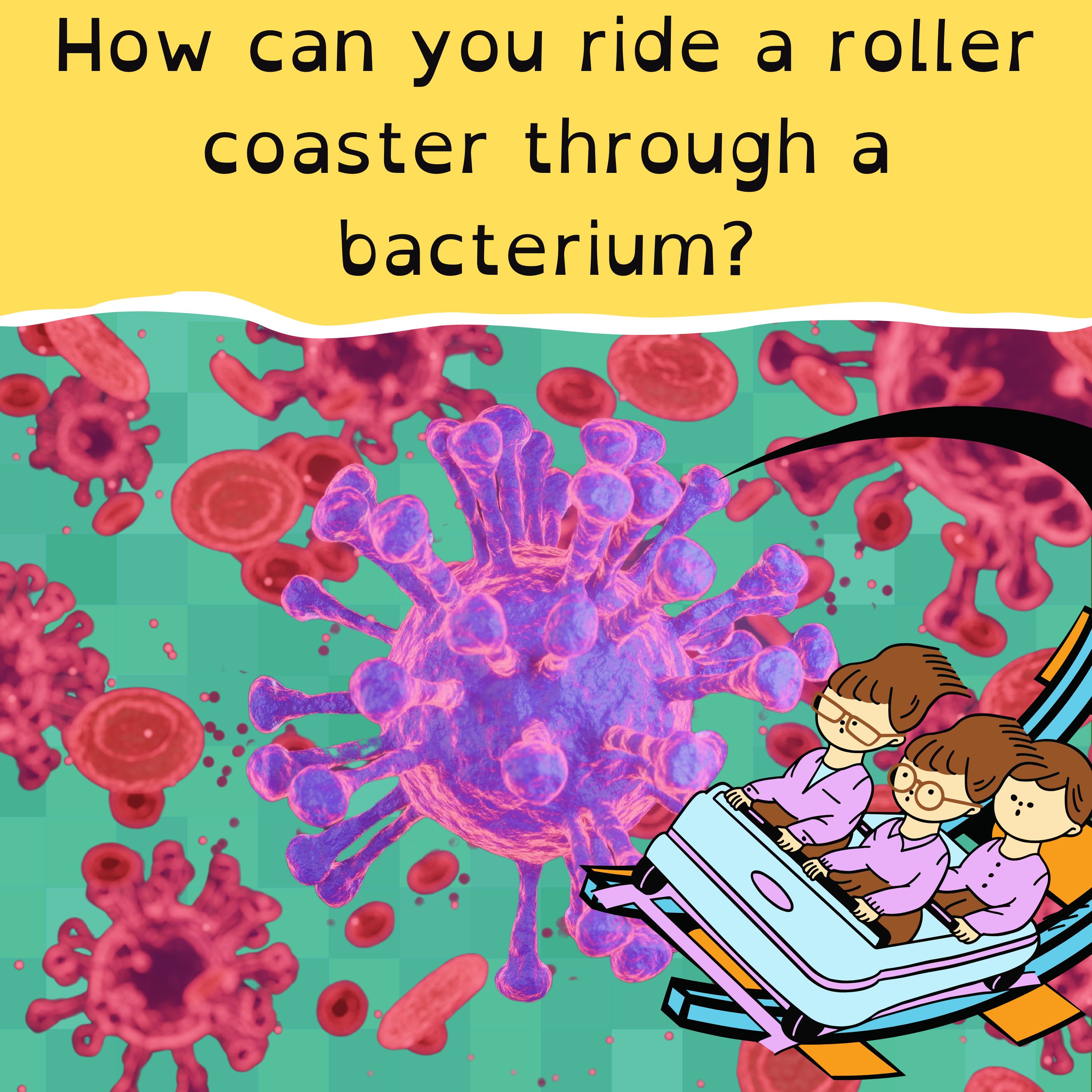 Super Bowl and Swifties; Minecraft meets microscopes; a beaver building project; and it’s snakes in the rain.