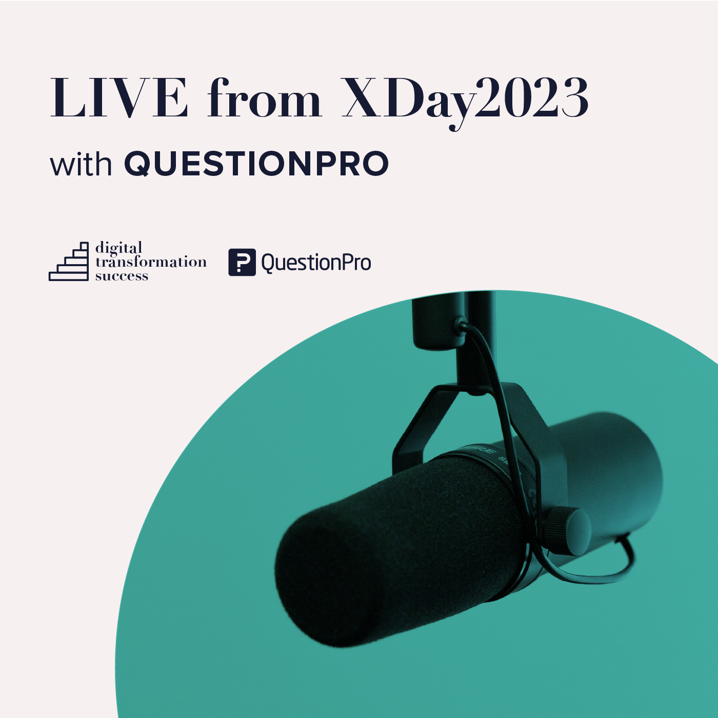 Digital Transformation Success