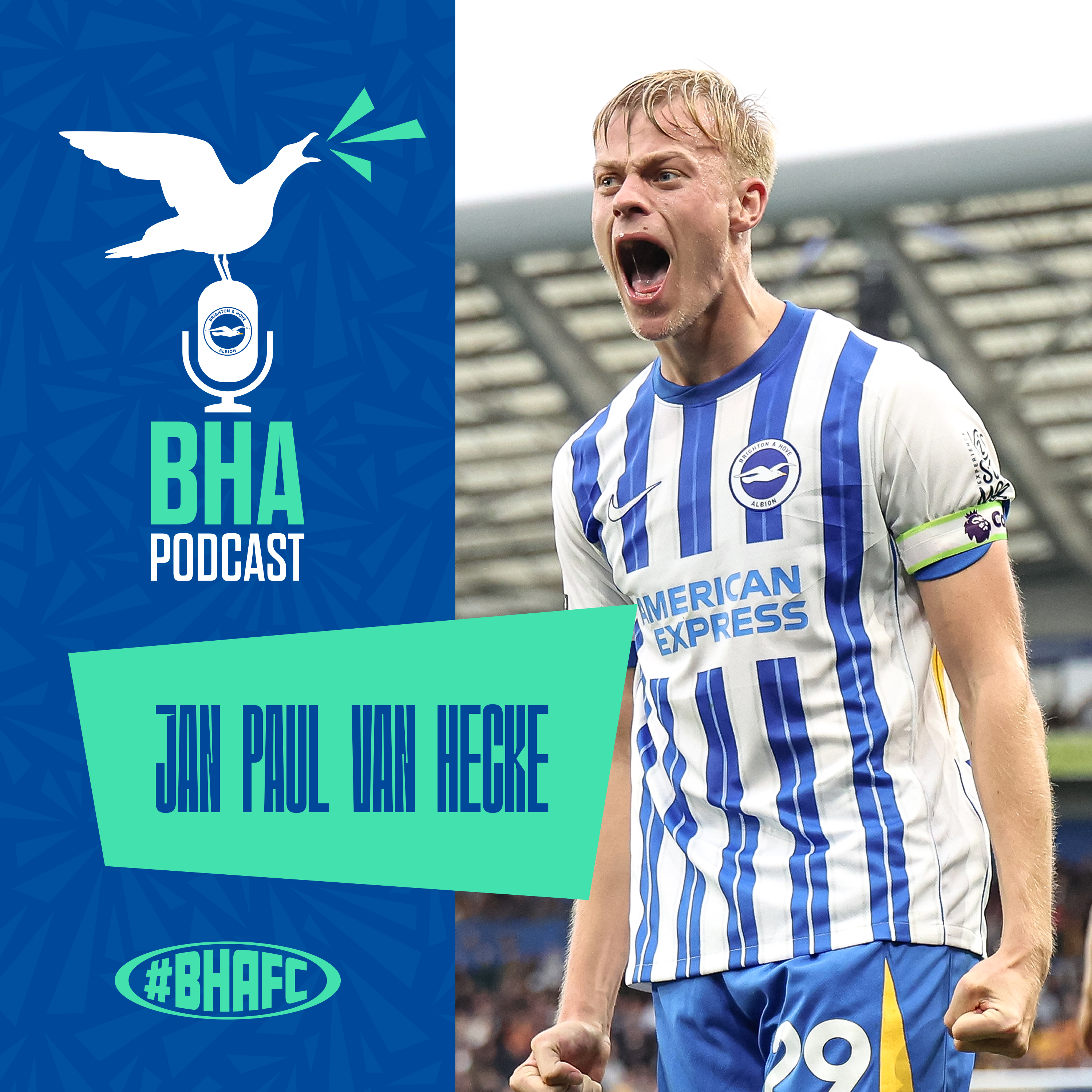 The Official Brighton and Hove Albion Podcast