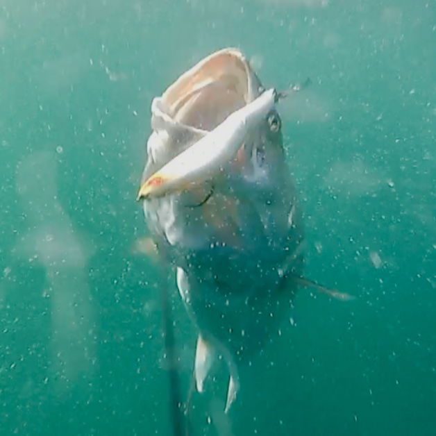 The My Fishing Cape Cod Podcast