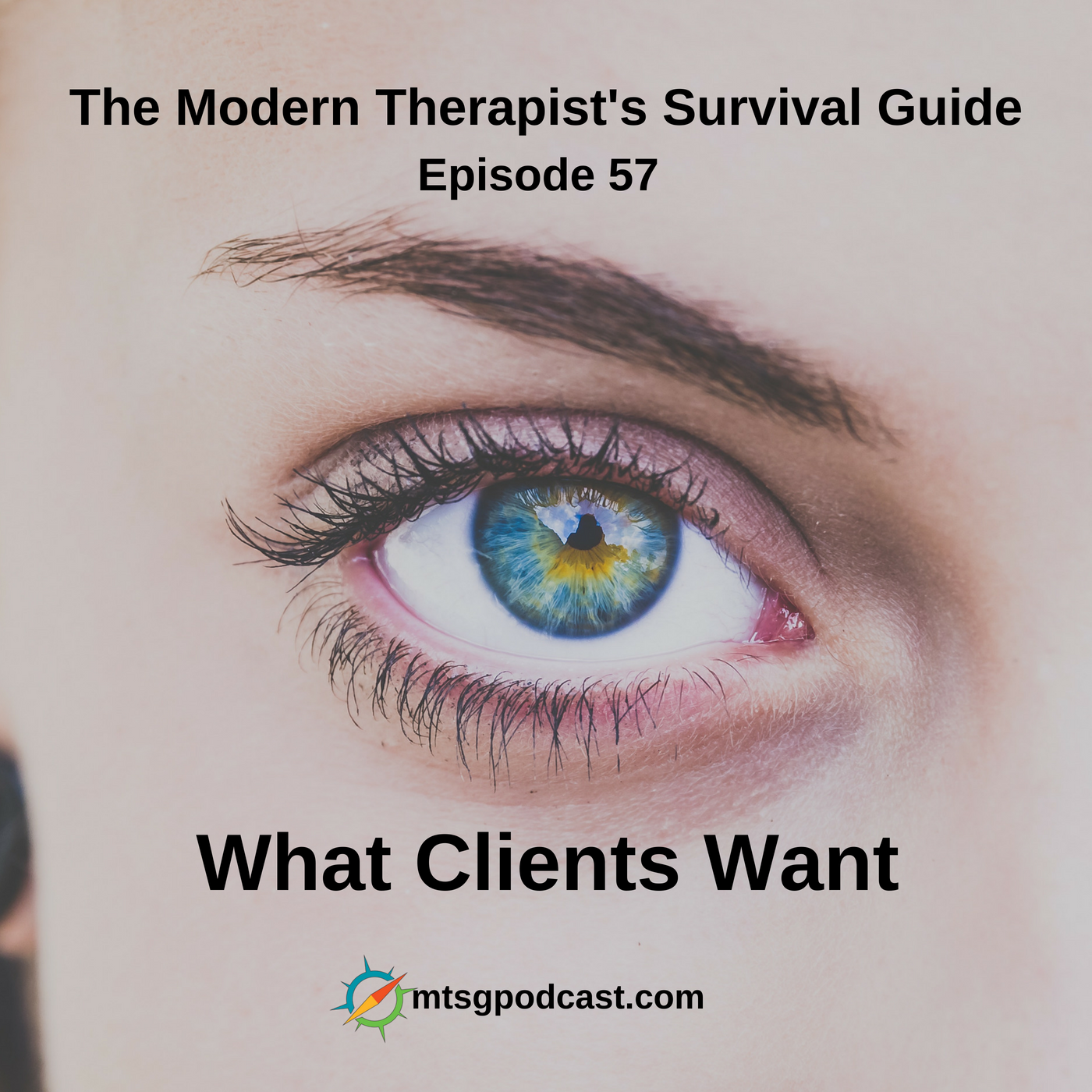 The Modern Therapist\'s Survival Guide with Curt Widhalm and Katie Vernoy