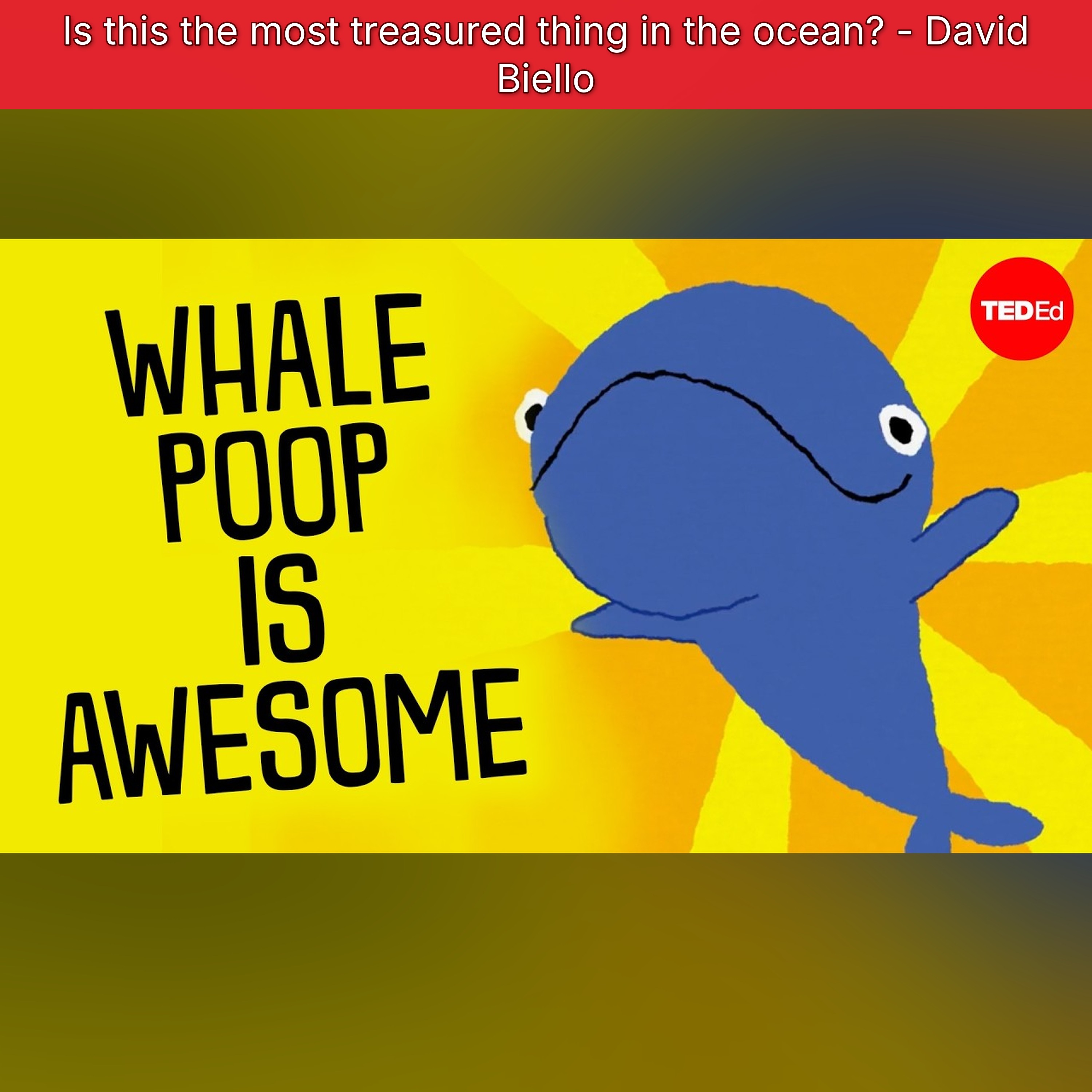 Is this the most treasured thing in the ocean? - David Biello episode artwork