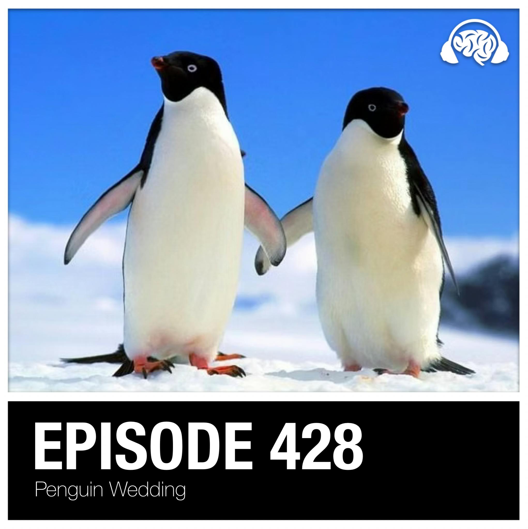 428: Penguin Wedding 428: Penguin Wedding