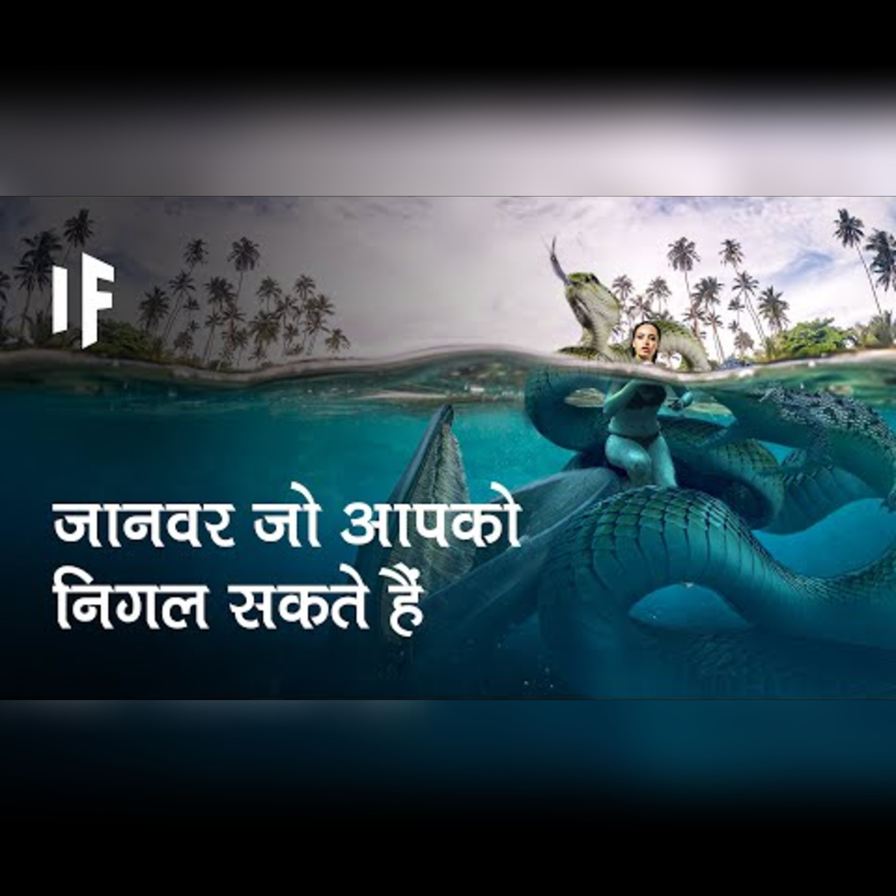 क्या होगा अगर ये तीन जानवर आपको निगल लें | What If These Three Animals Swallowed You? episode artwork