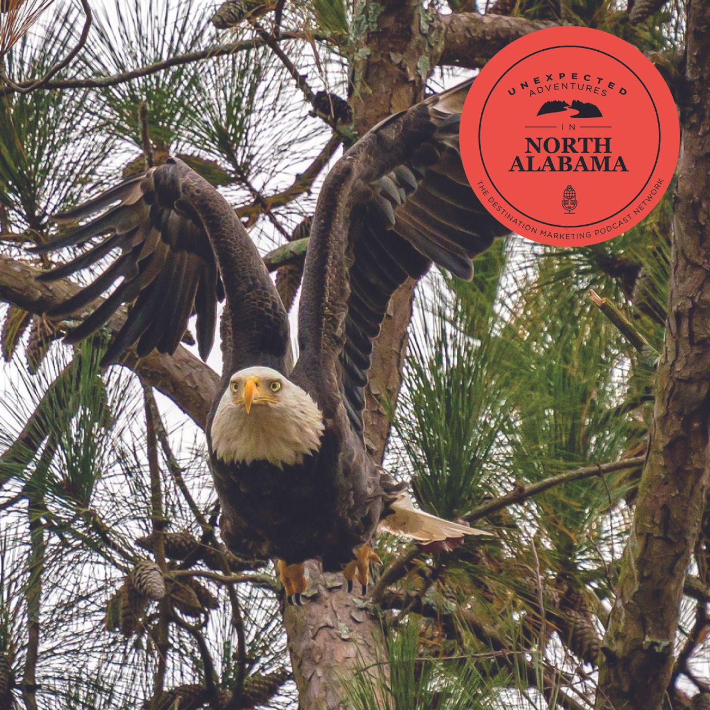 9: Top Travel Tips to North Alabama’s Seven State Parks episode artwork