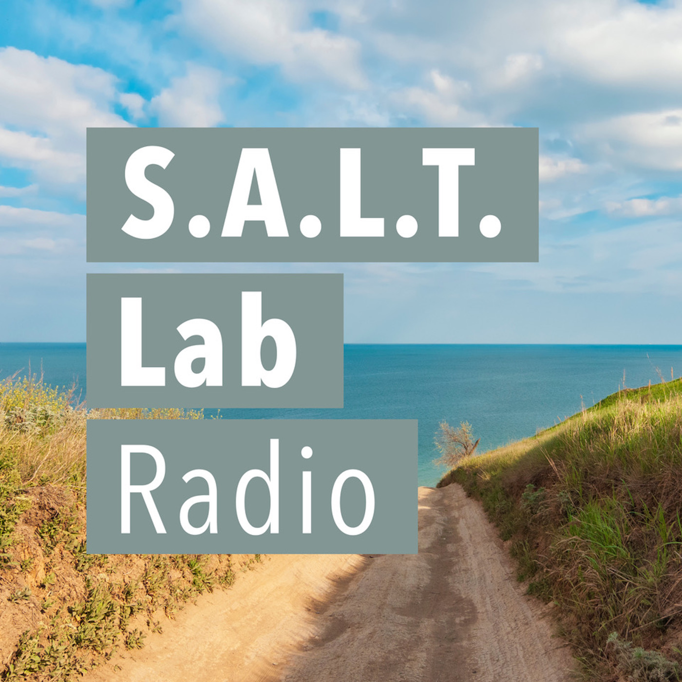 S.A.L.T. LAB RADIO