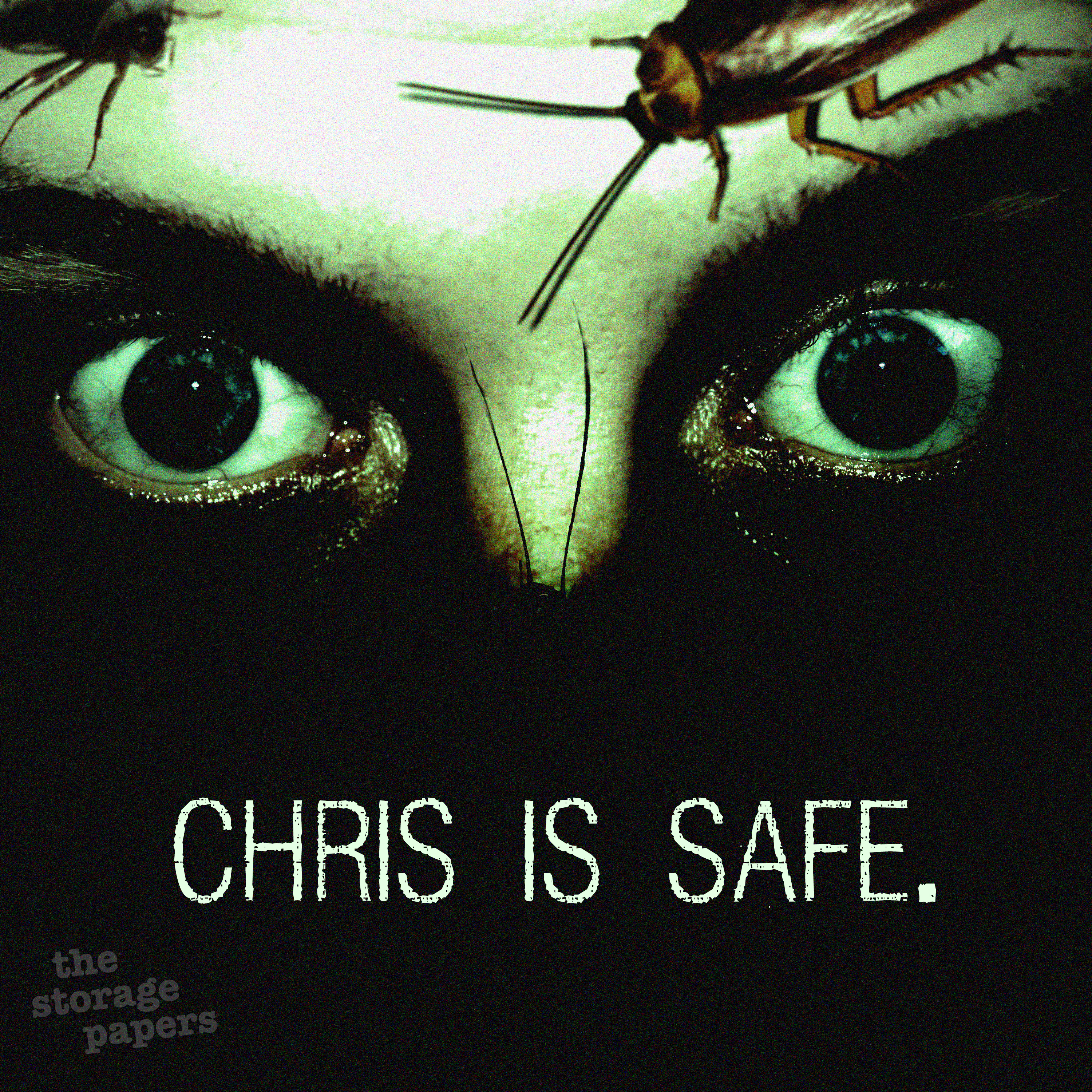 "The Storage Papers" Podcast