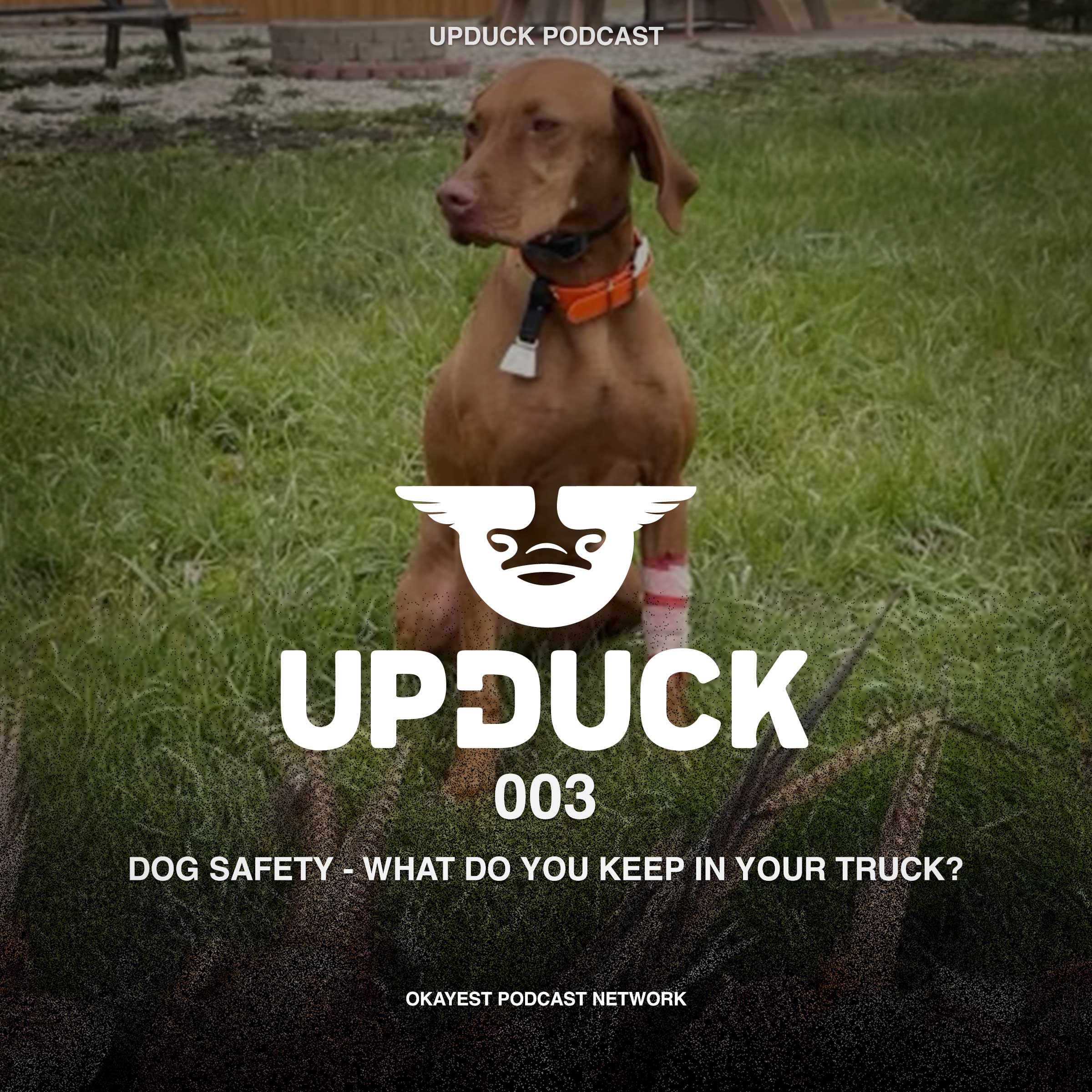 Dog safety - what do you keep in your truck? episode artwork