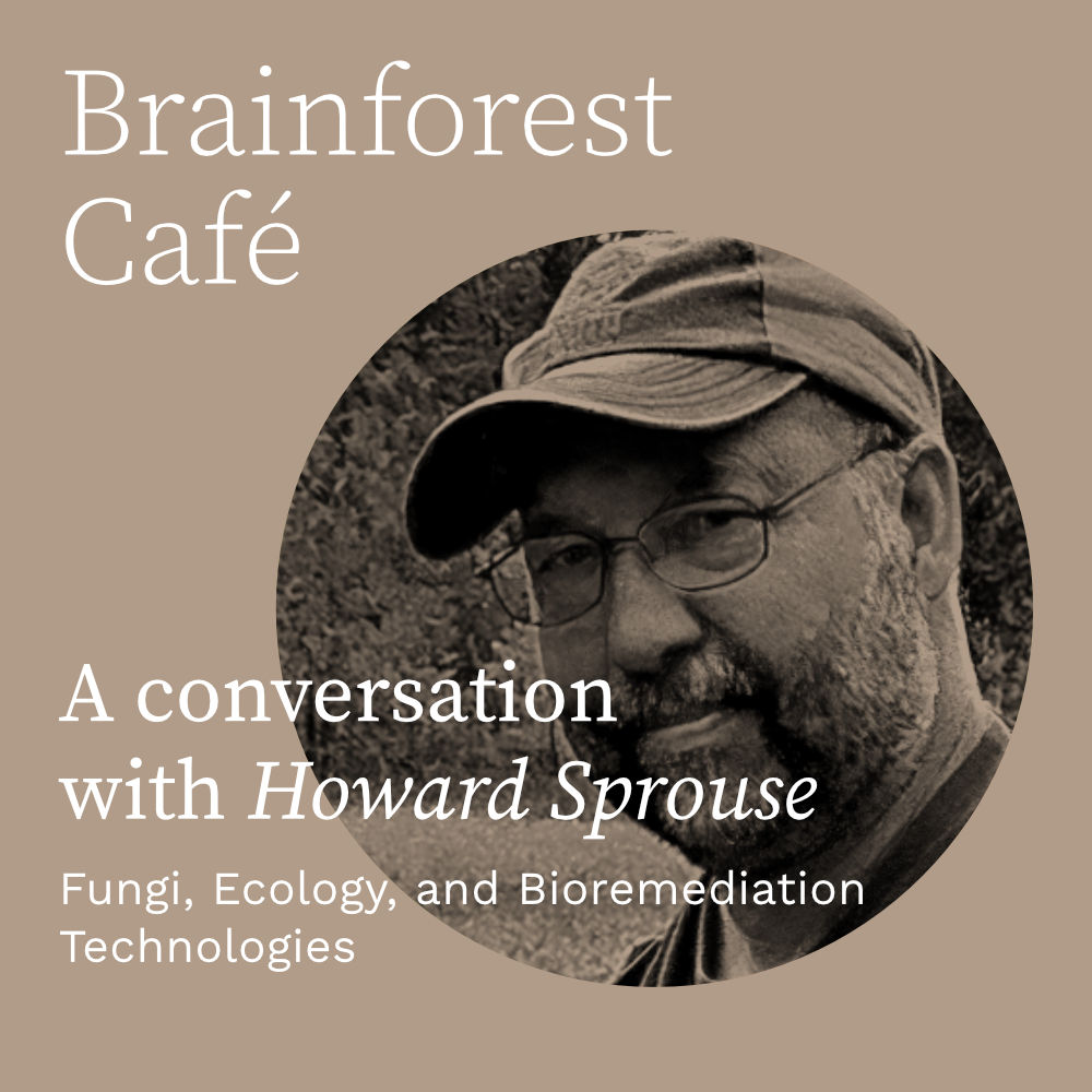 Fungi, Ecology, and Bioremediation Technologies.