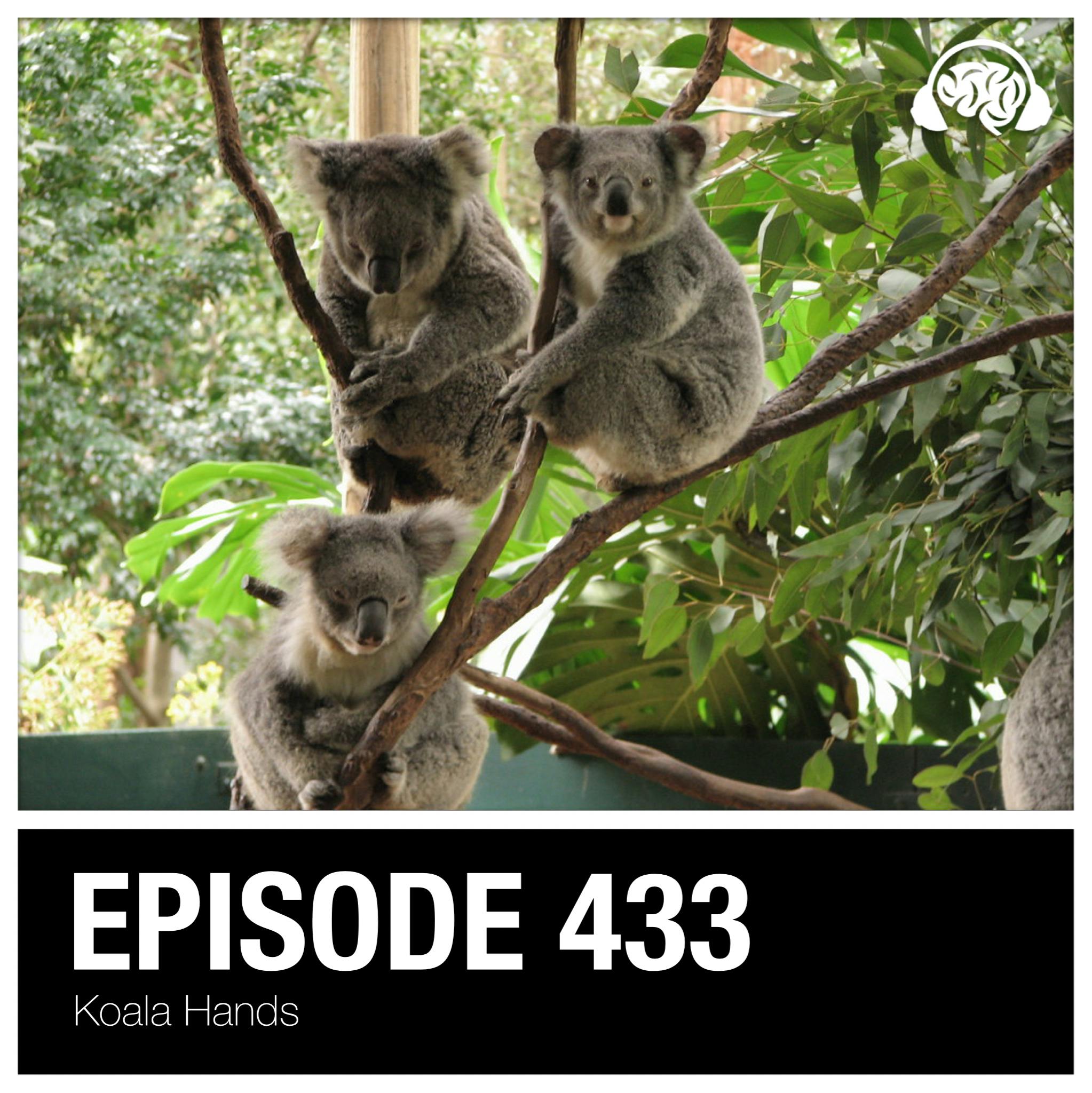 433: Koala Hands 433: Koala Hands