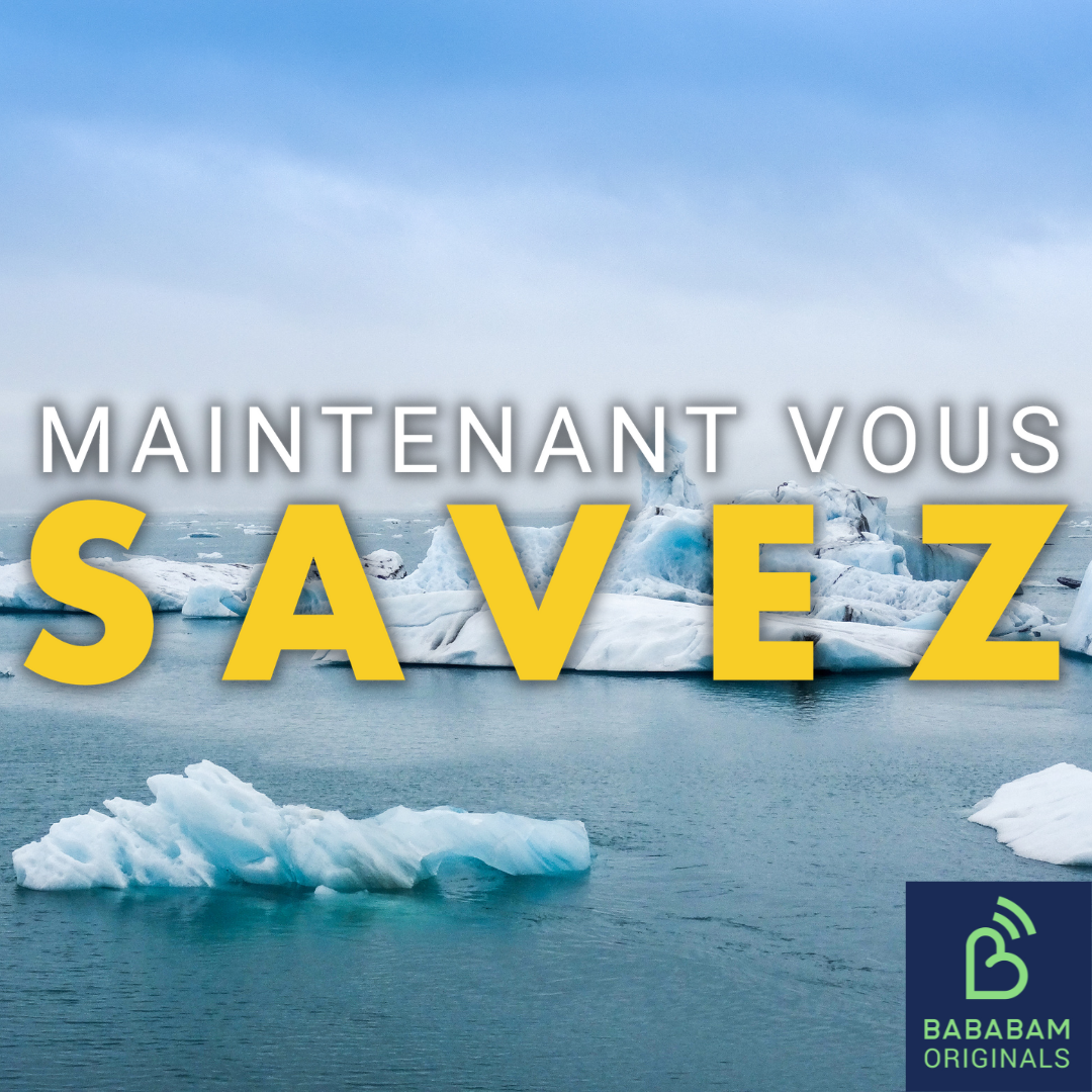 Pourquoi Donald Trump veut-il annexer le Groenland ?