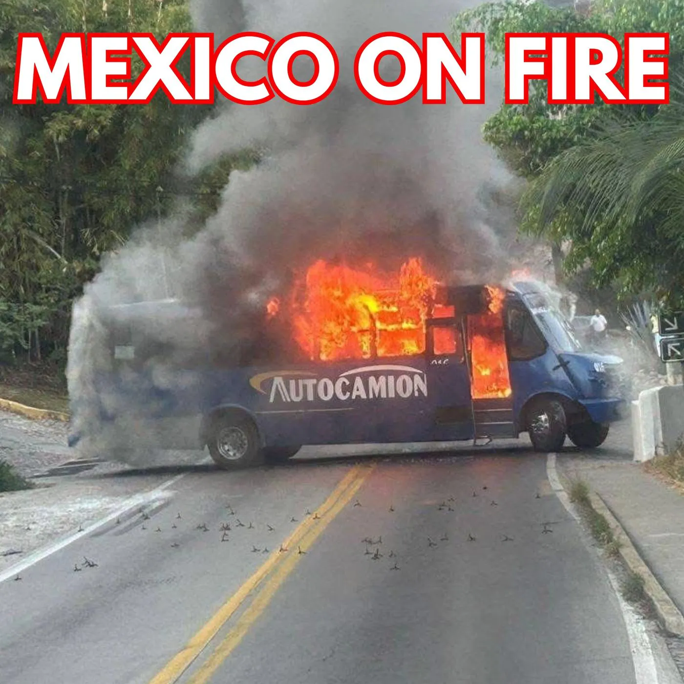 Cartel Boss Taken Out: Mexico In Chaos Cartel Boss Taken Out: Mexico In Chaos