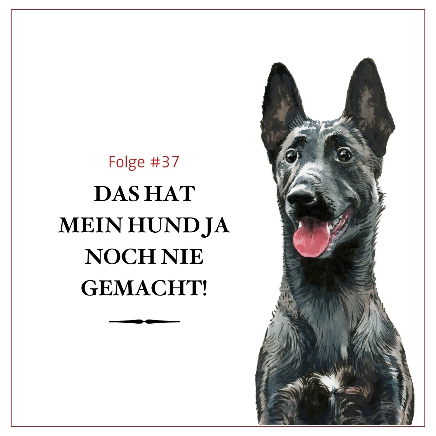 Das hat er ja noch nie gemacht! Wenn Hunde plötzlich ihr Verhalten ändern – #37 episode artwork