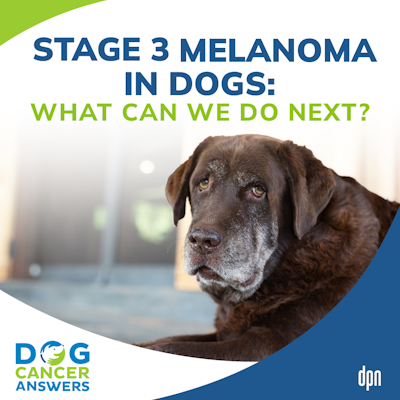 how long does a dog live with melanoma