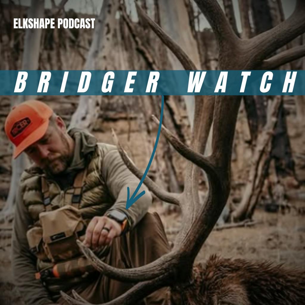 BRIDGER WATCH UPDATE BONUS POD BRIDGER WATCH UPDATE BONUS POD