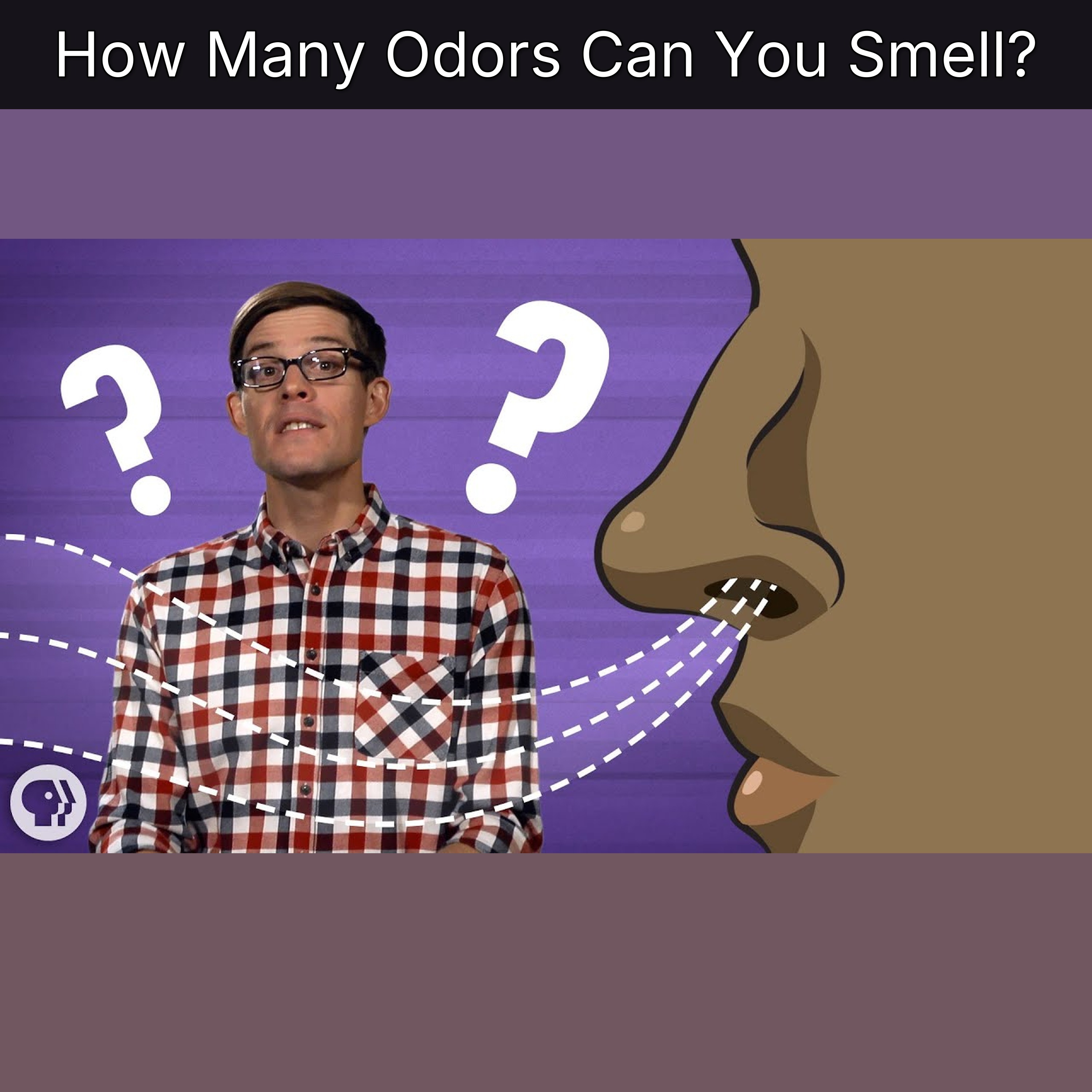How Many Odors Can You Smell? episode artwork