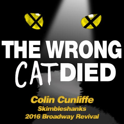 Ep37 - Colin Cunliffe, Skimbleshanks from 2016 Broadway Revival