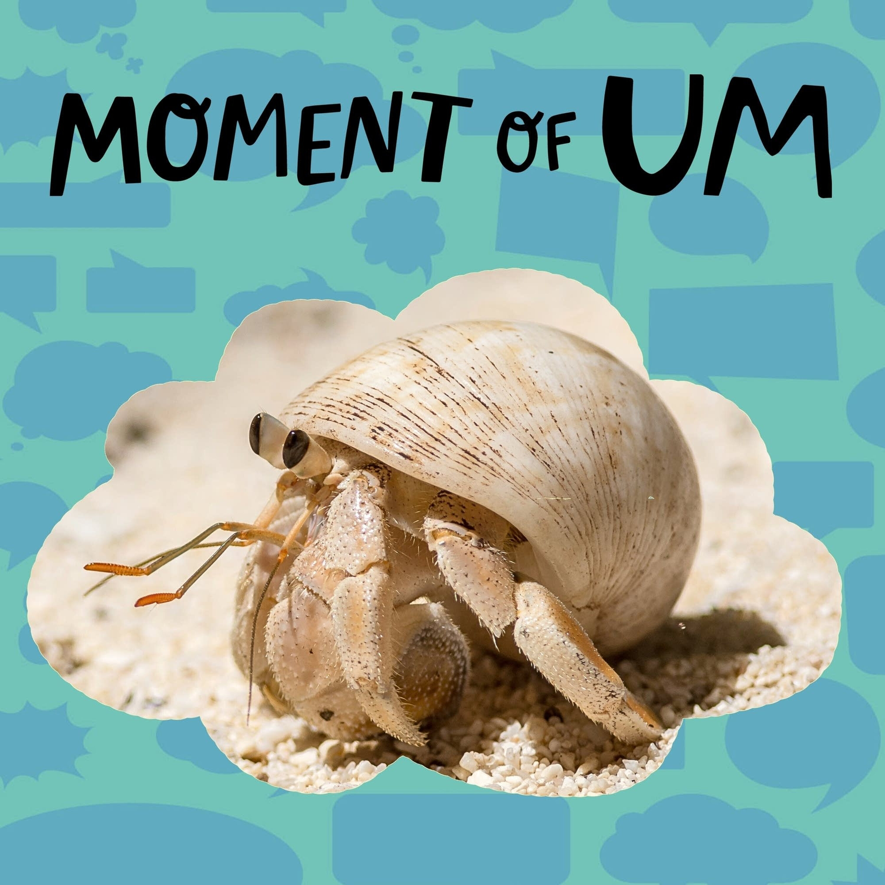 Why aren’t hermit crabs born with shells?