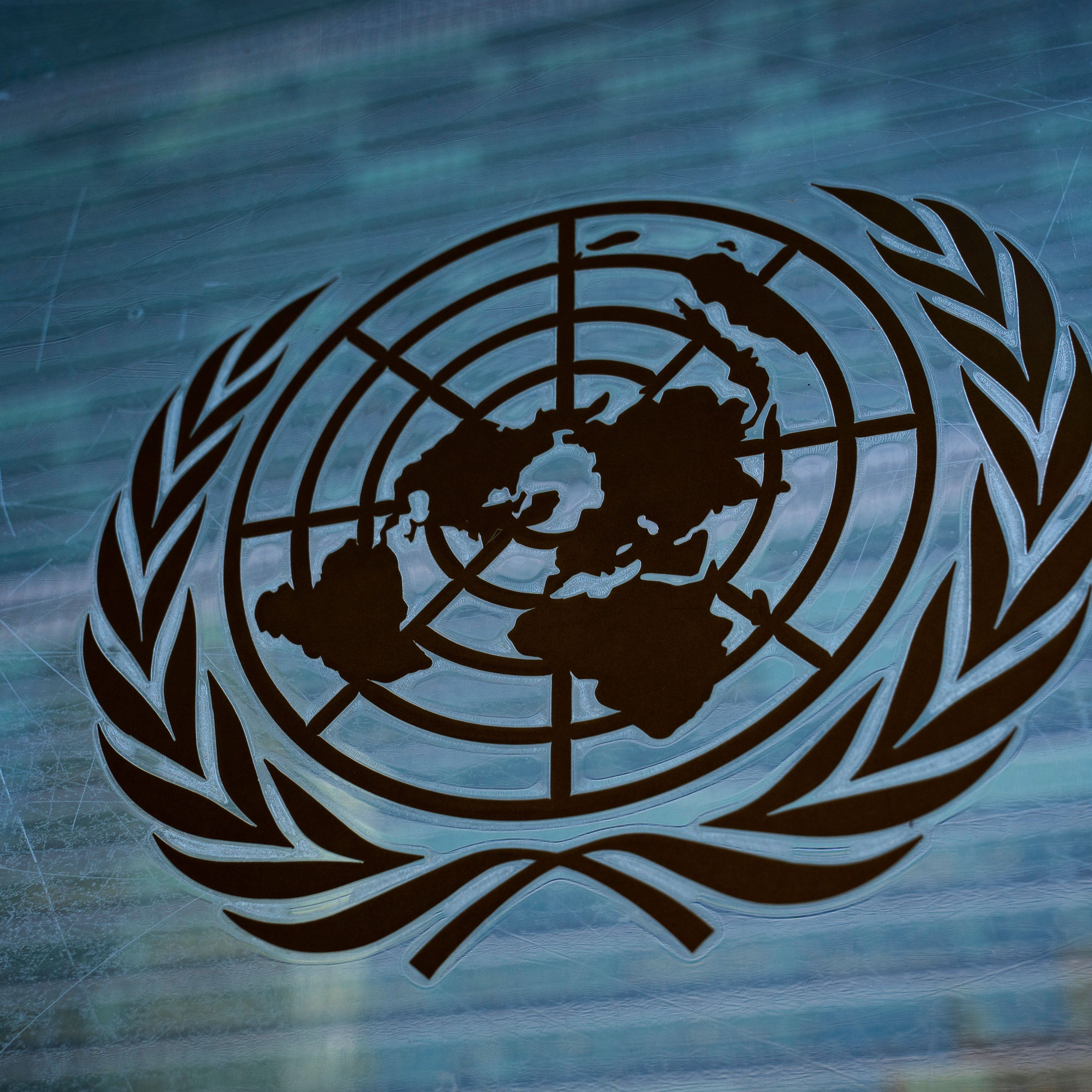 U.N. Panel Accuses U.S. Leaders of Fueling Hate Against Migrants