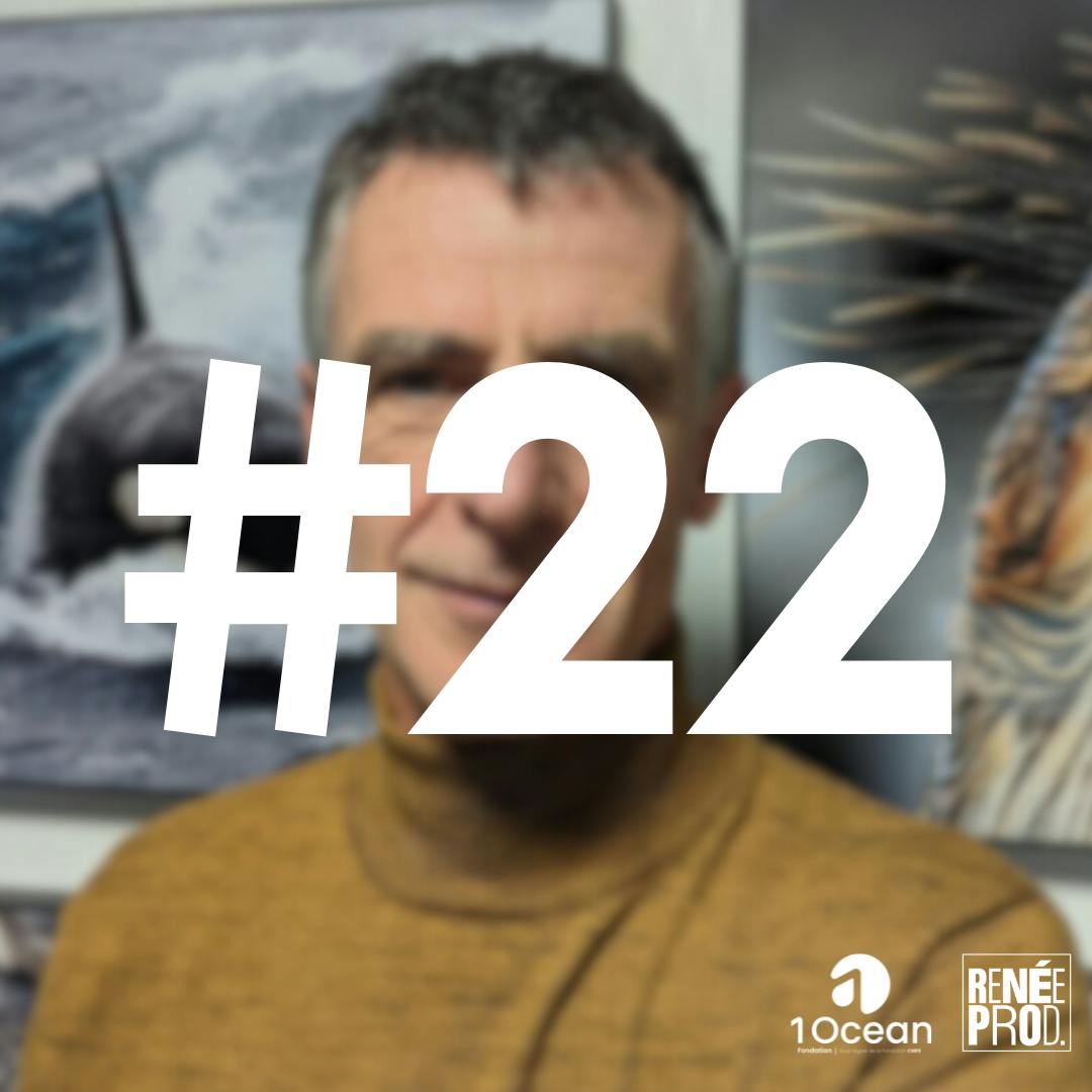 Plongeon avec les orques Plongeon avec les orques