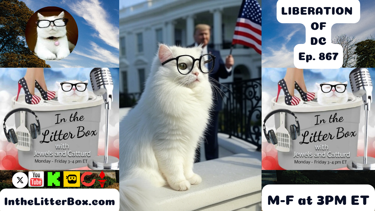 LIBERATION OF DC | In the Litter Box w/ Jewels & Catturd – Ep. 866 – 8/20/2025