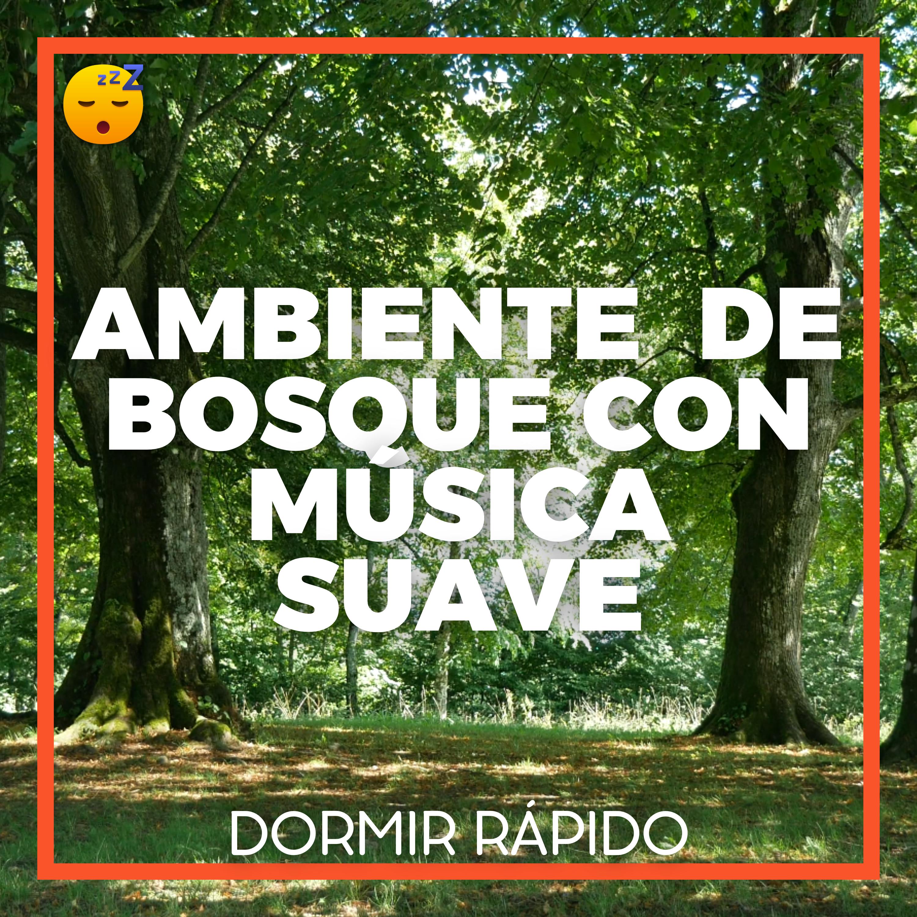 Un Viaje Sonoro a Través del BOSQUE para RELAJARSE y DORMIR Plácidamente episode artwork