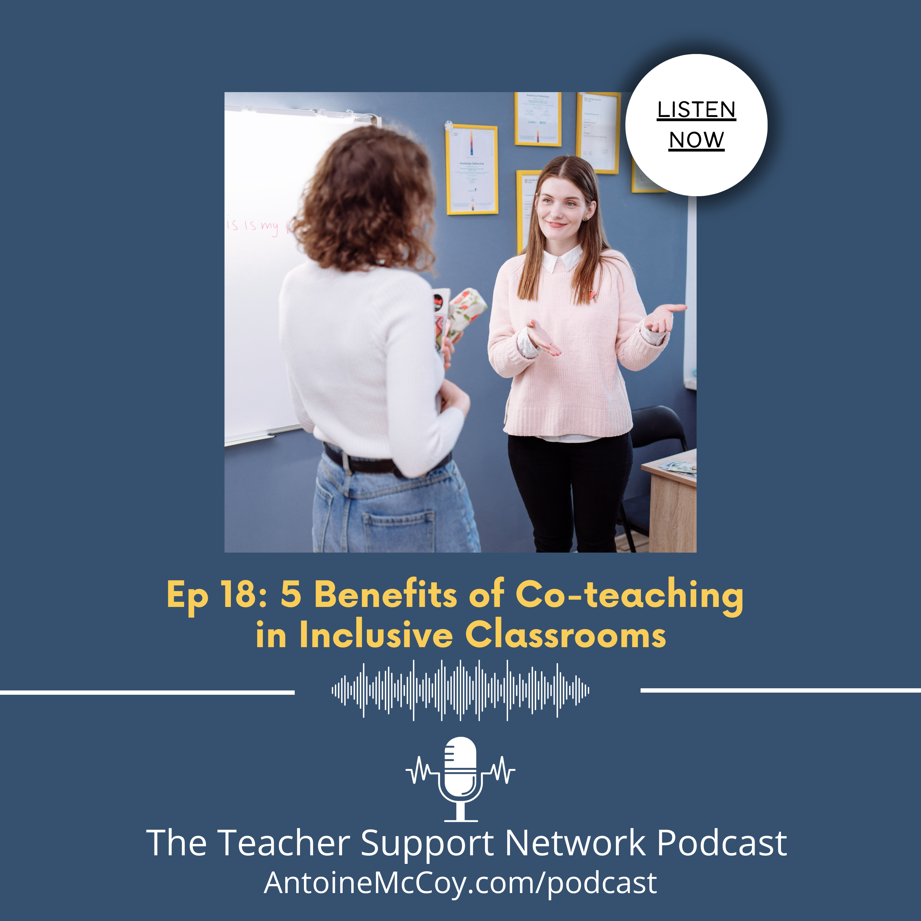 The Teacher Support Network