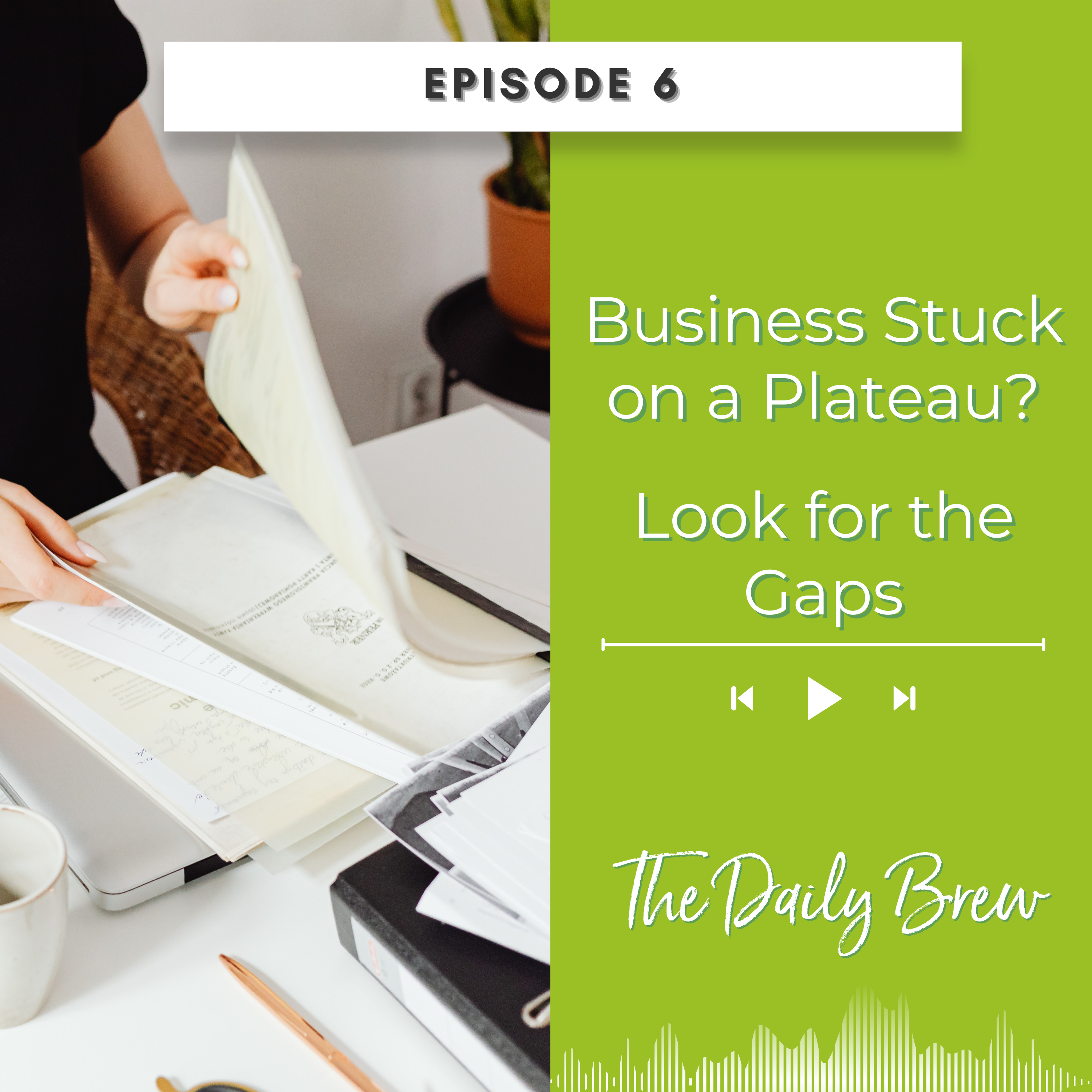 Business Stuck on a Plateau? Look for the Gaps EP 6 episode artwork