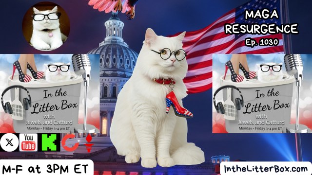 MAGA RESURGENCE | In the Litter Box w/ Jewels & Catturd –  Ep. 1030 – 5/21/2026