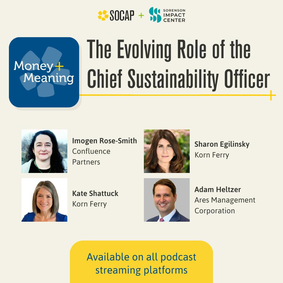 The Evolving Role of the Chief Sustainability Officer