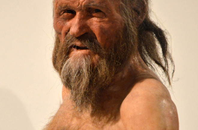 Discovering The Iceman